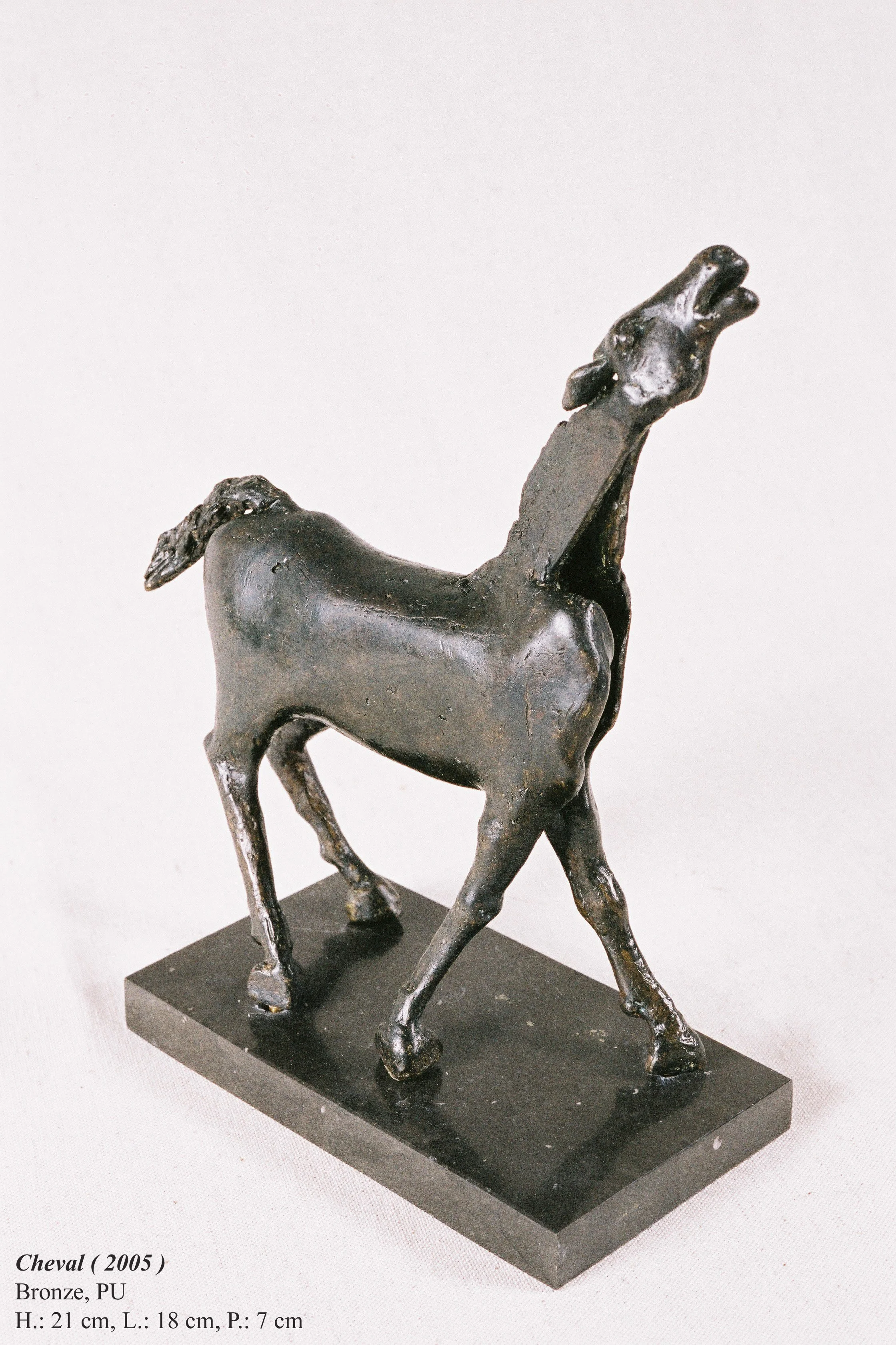 bronze©Maya Eneva Cheval (2).jpg
