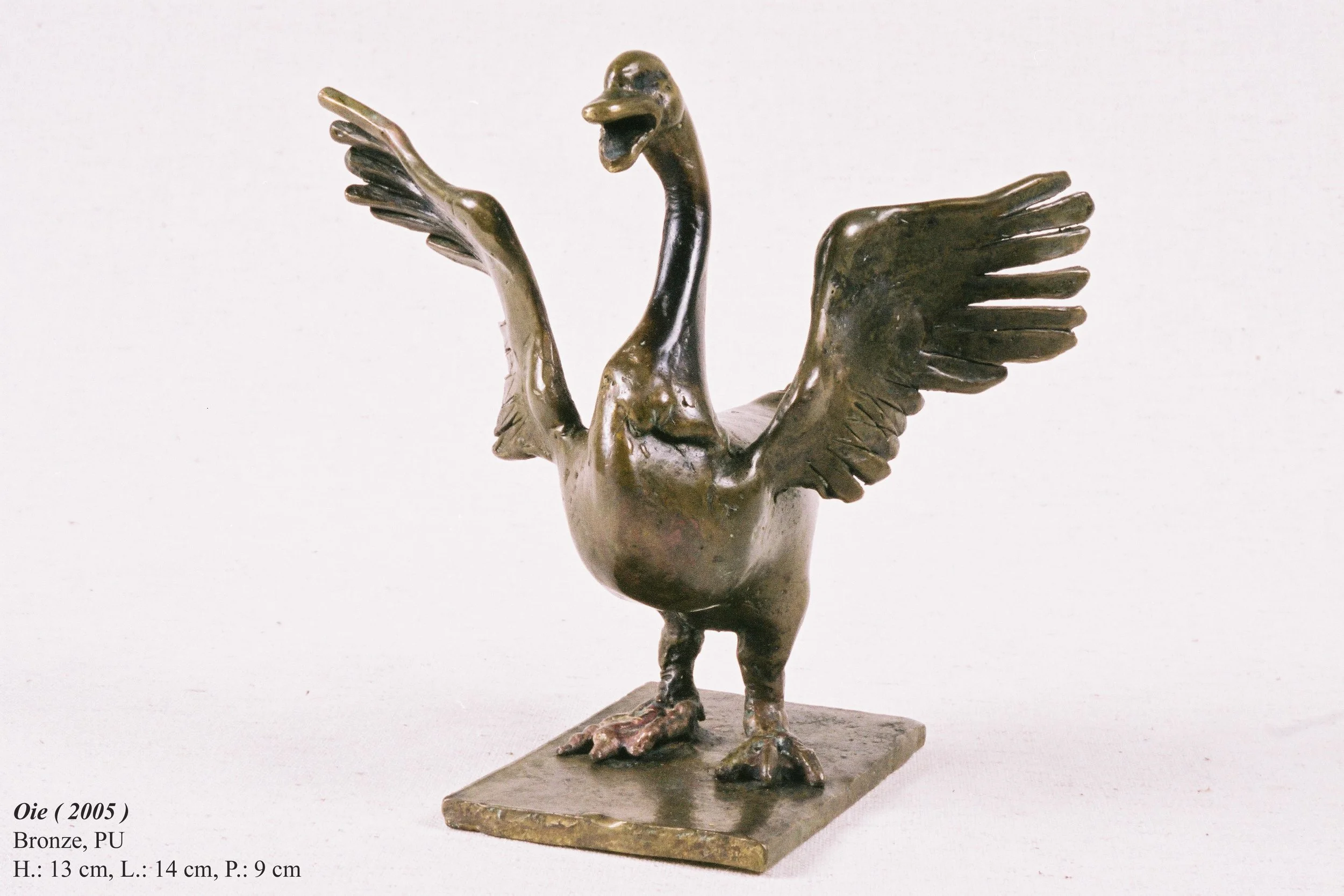 bronze©Maya Eneva Oie (1).jpg