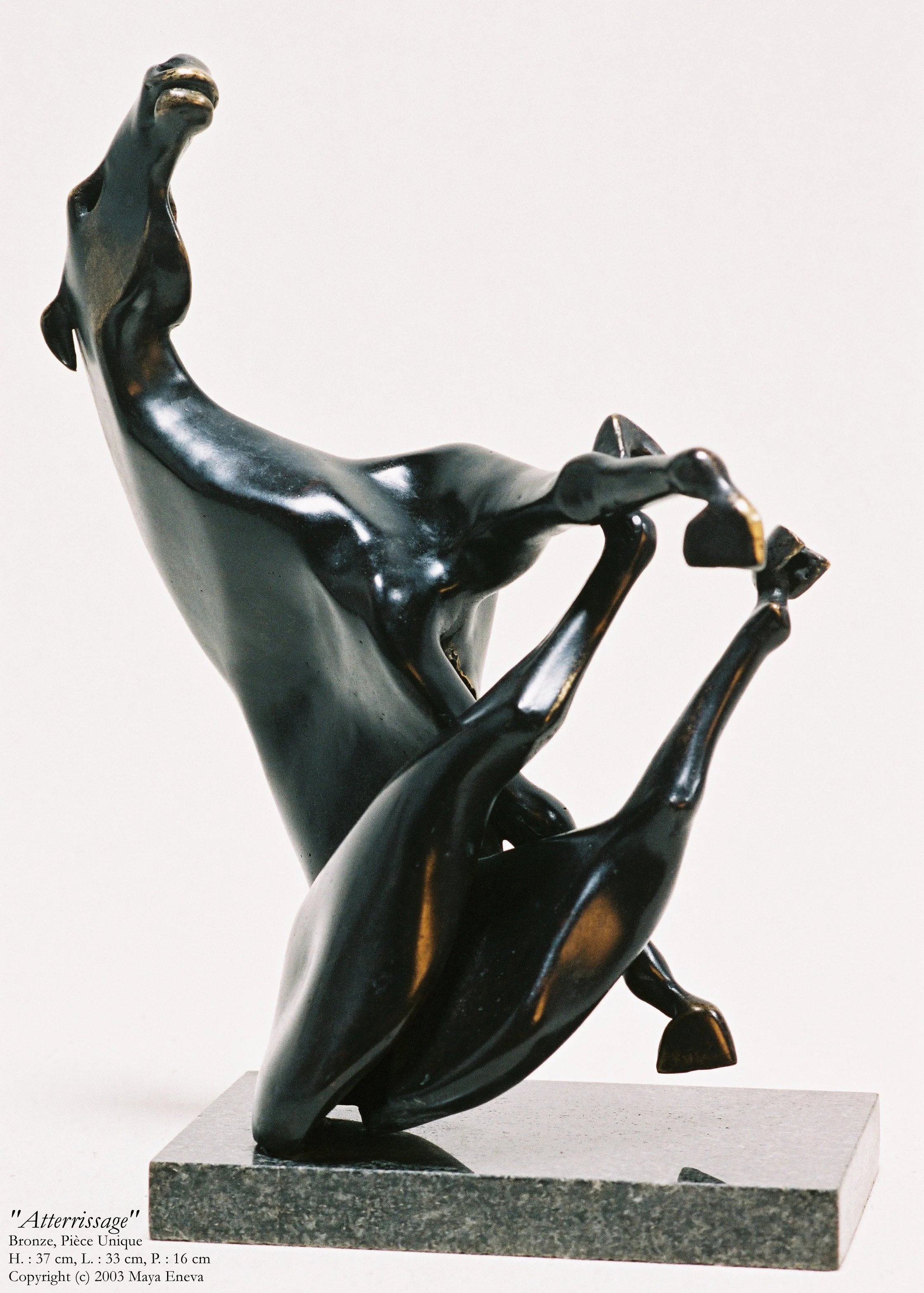 bronze©Maya Eneva Atterrissage (1).jpg