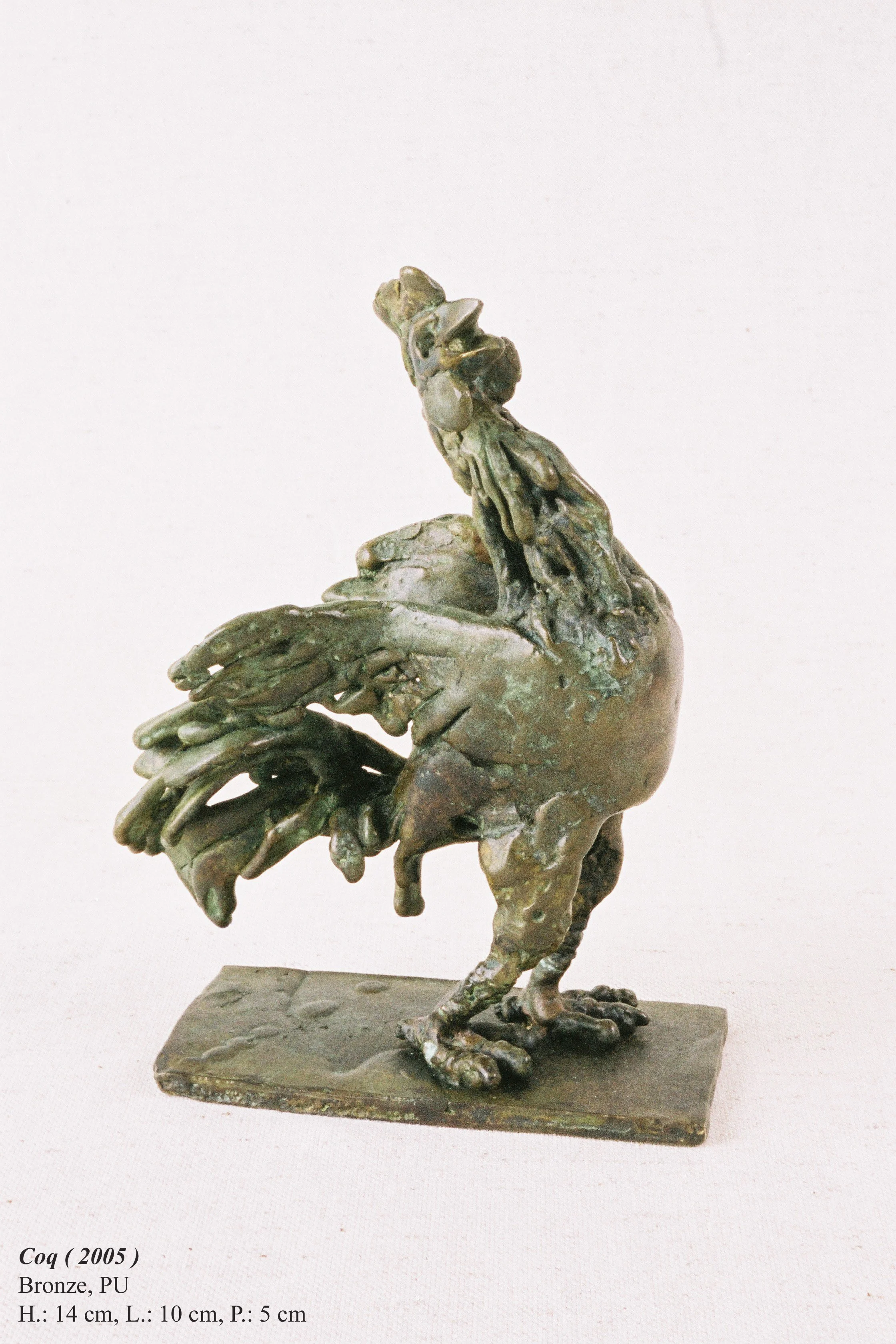 bronze©Maya Eneva Coq (1).jpg