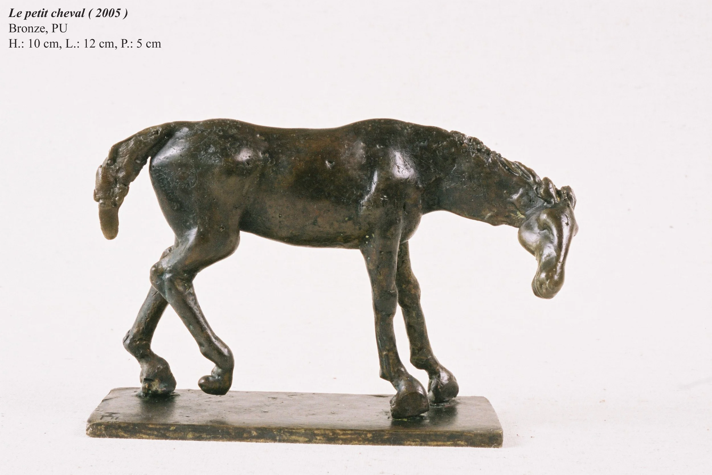 bronze©Maya Eneva Le petit cheval (2).jpg
