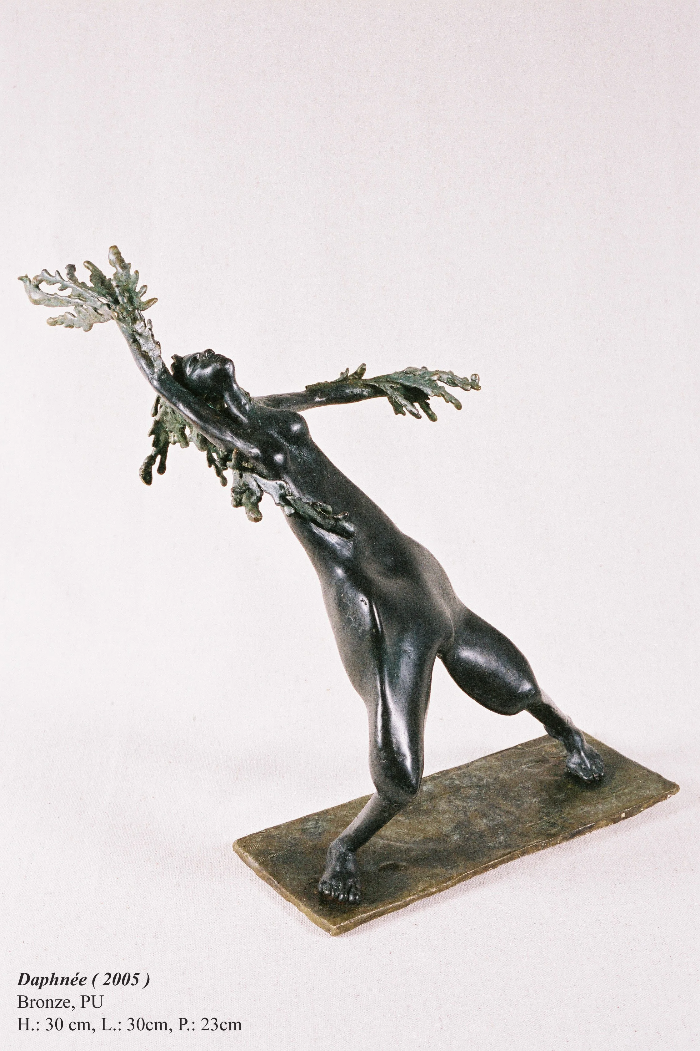bronze©Maya Eneva Daphnee (1).jpg