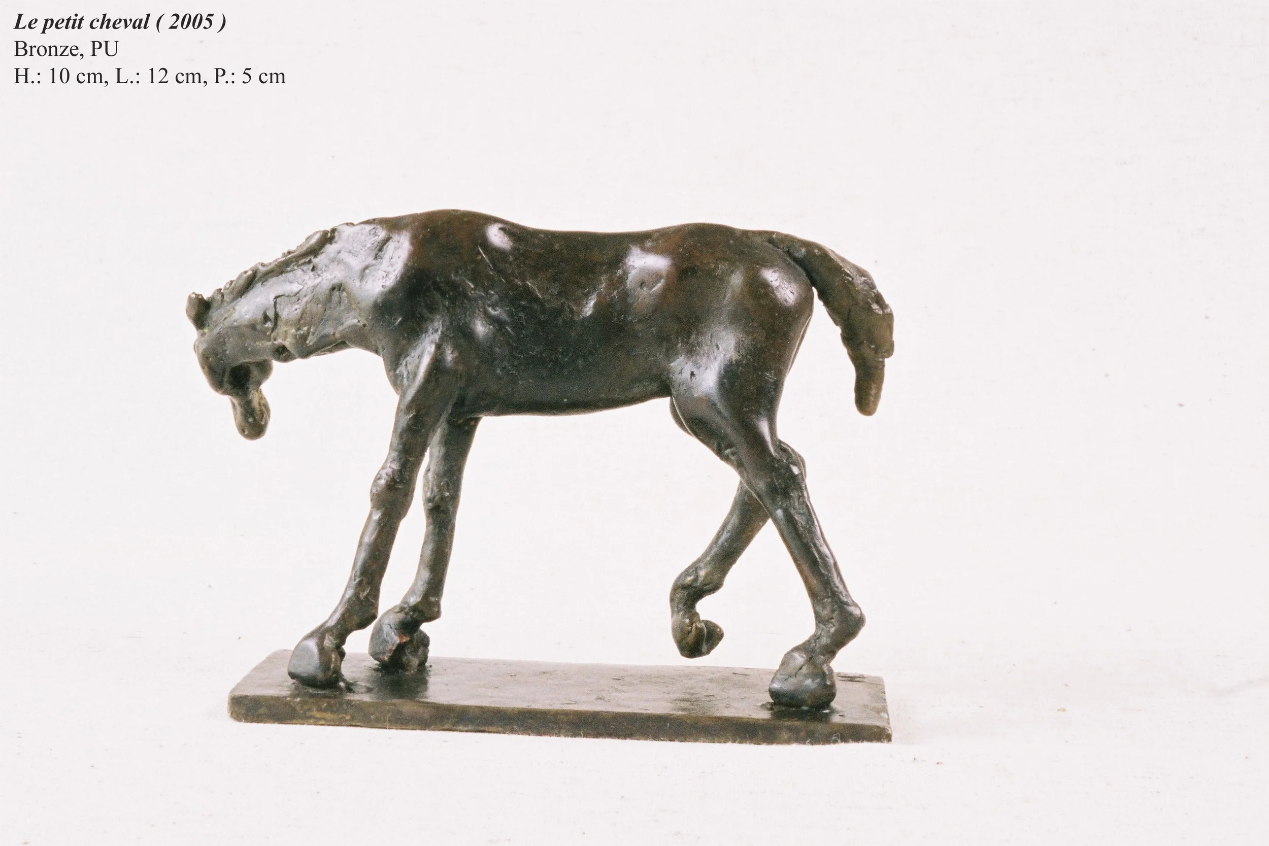 bronze©Maya Eneva Le petit cheval (1).jpg