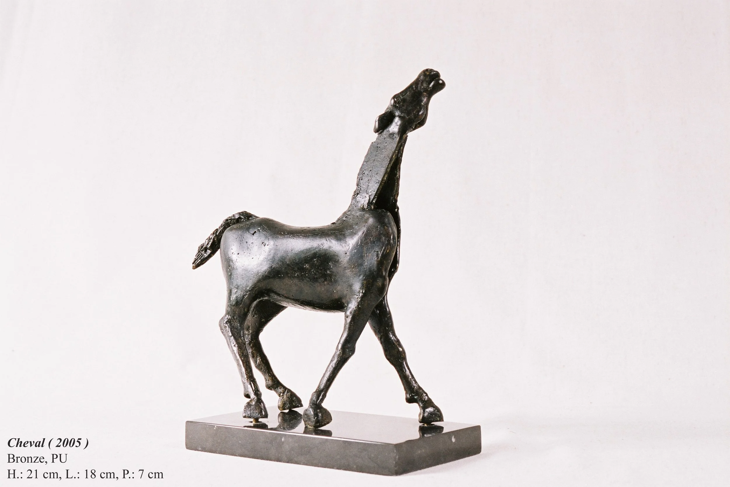 bronze©Maya Eneva Cheval (4).jpg