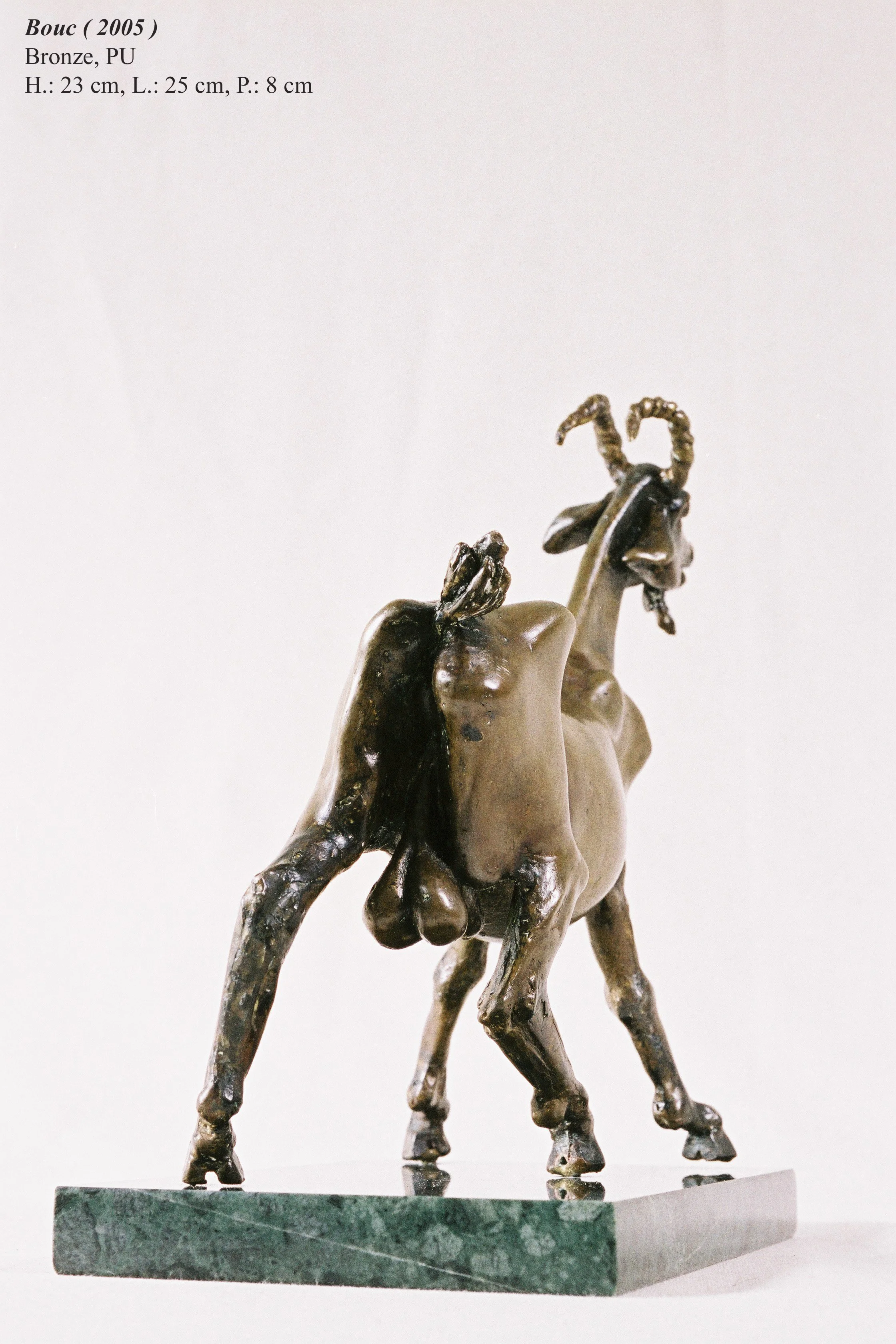 bronze©Maya Eneva Bouc (1).jpg