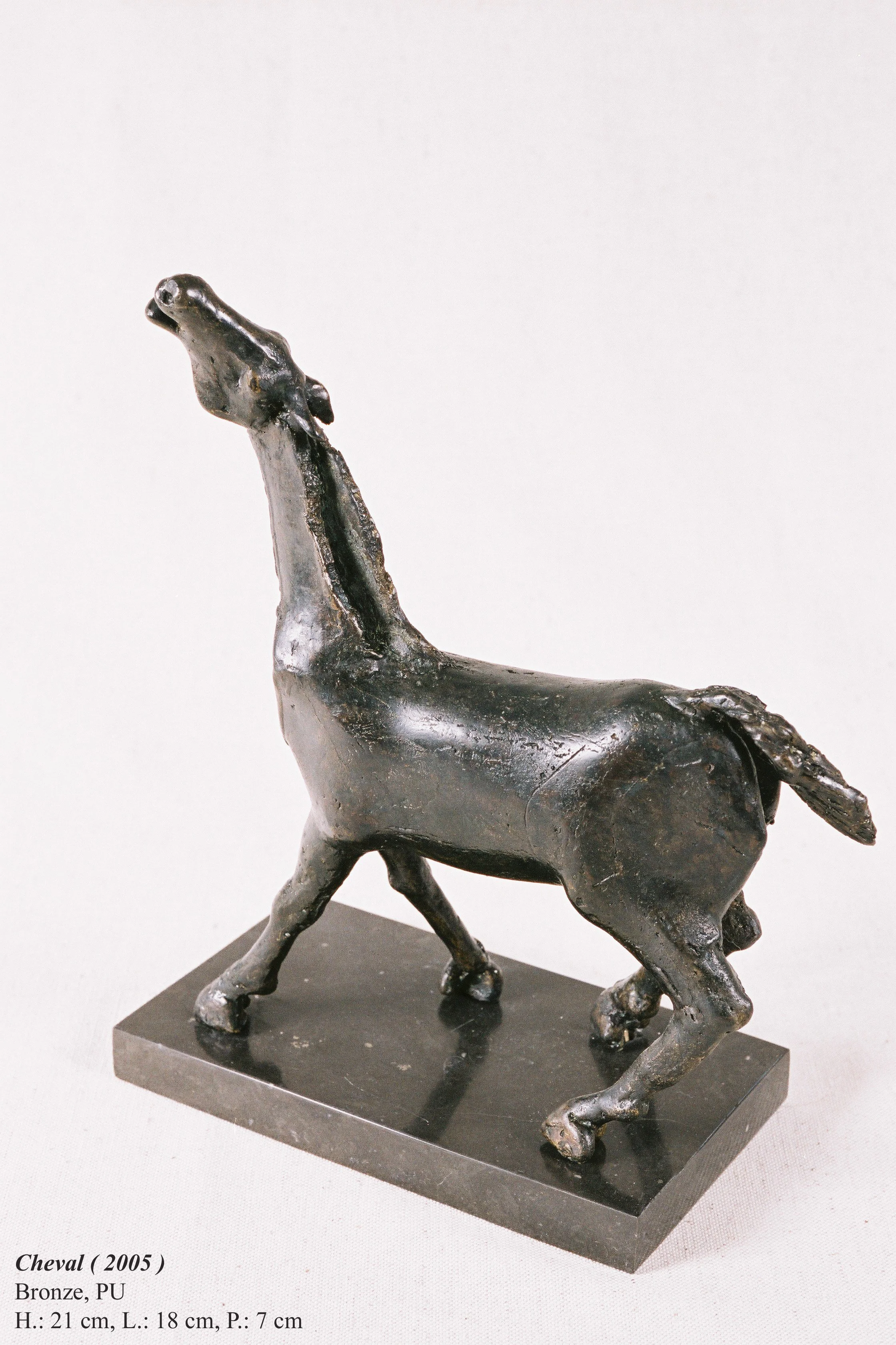 bronze©Maya Eneva Cheval (1).jpg