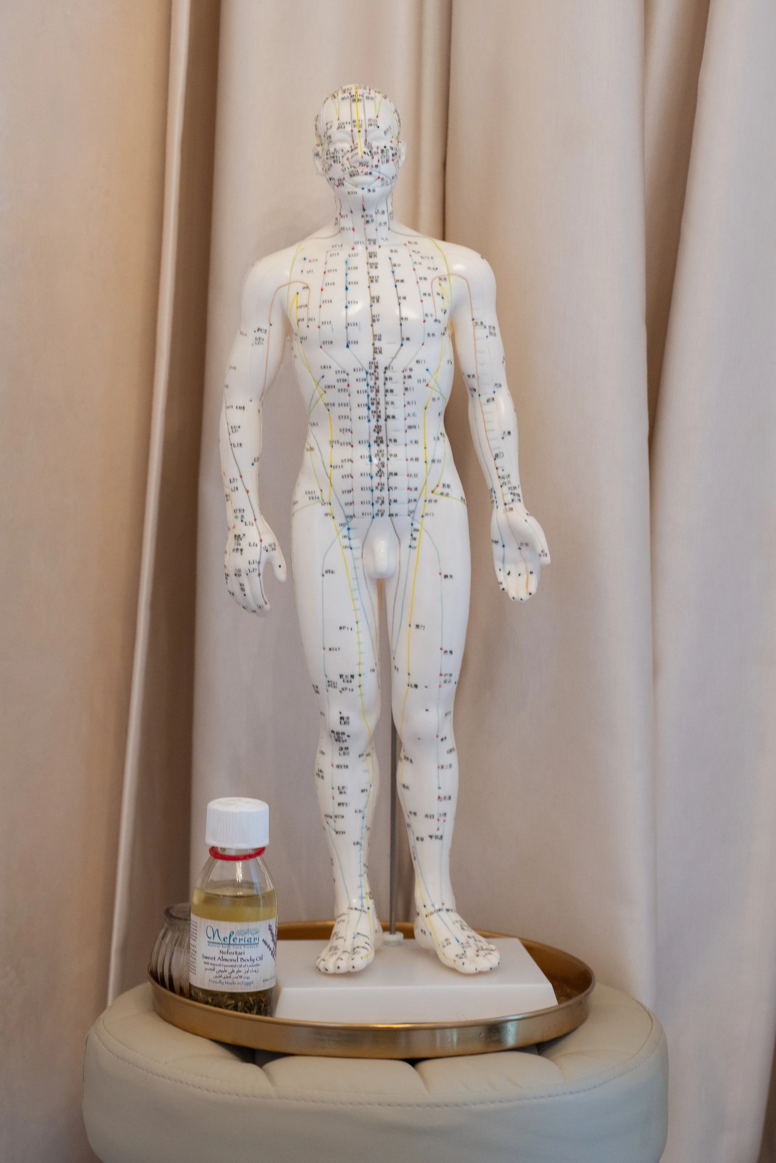 acupuncture meridians traditional chinese medicine meridians