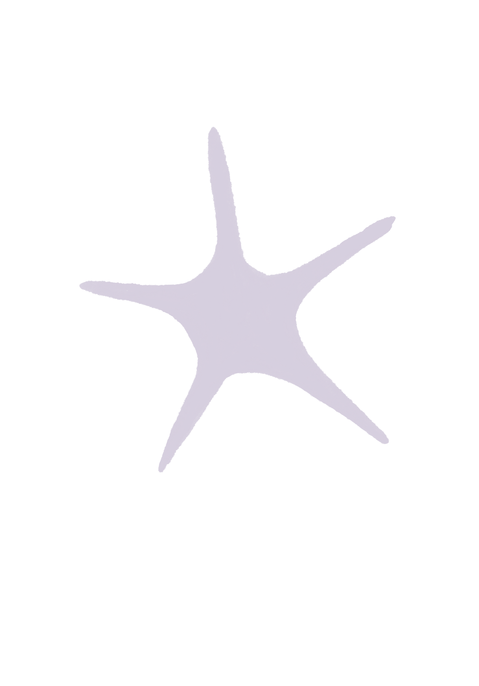 A white starfish with five arms on a black background.
