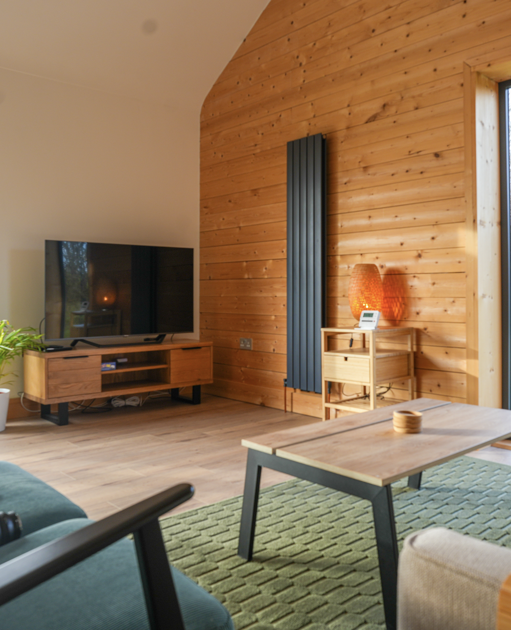 Living room with wooden wall, flat-screen TV on wooden stand, green rug, sofa, coffee table, window, and warm lighting.
