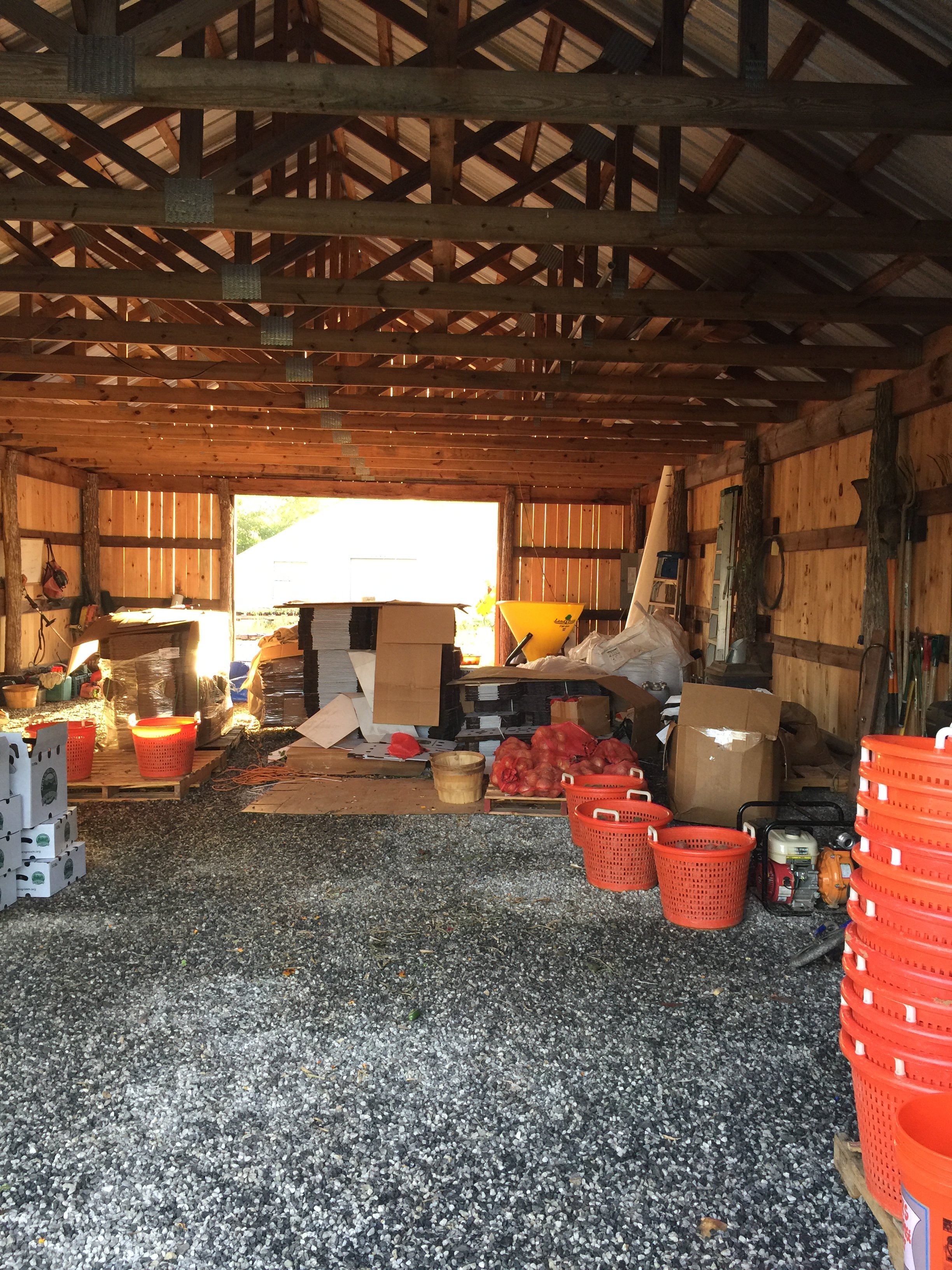 A storage shed filled with boxes, baskets, and gardening tools, with sunlight coming through the open back wall.
