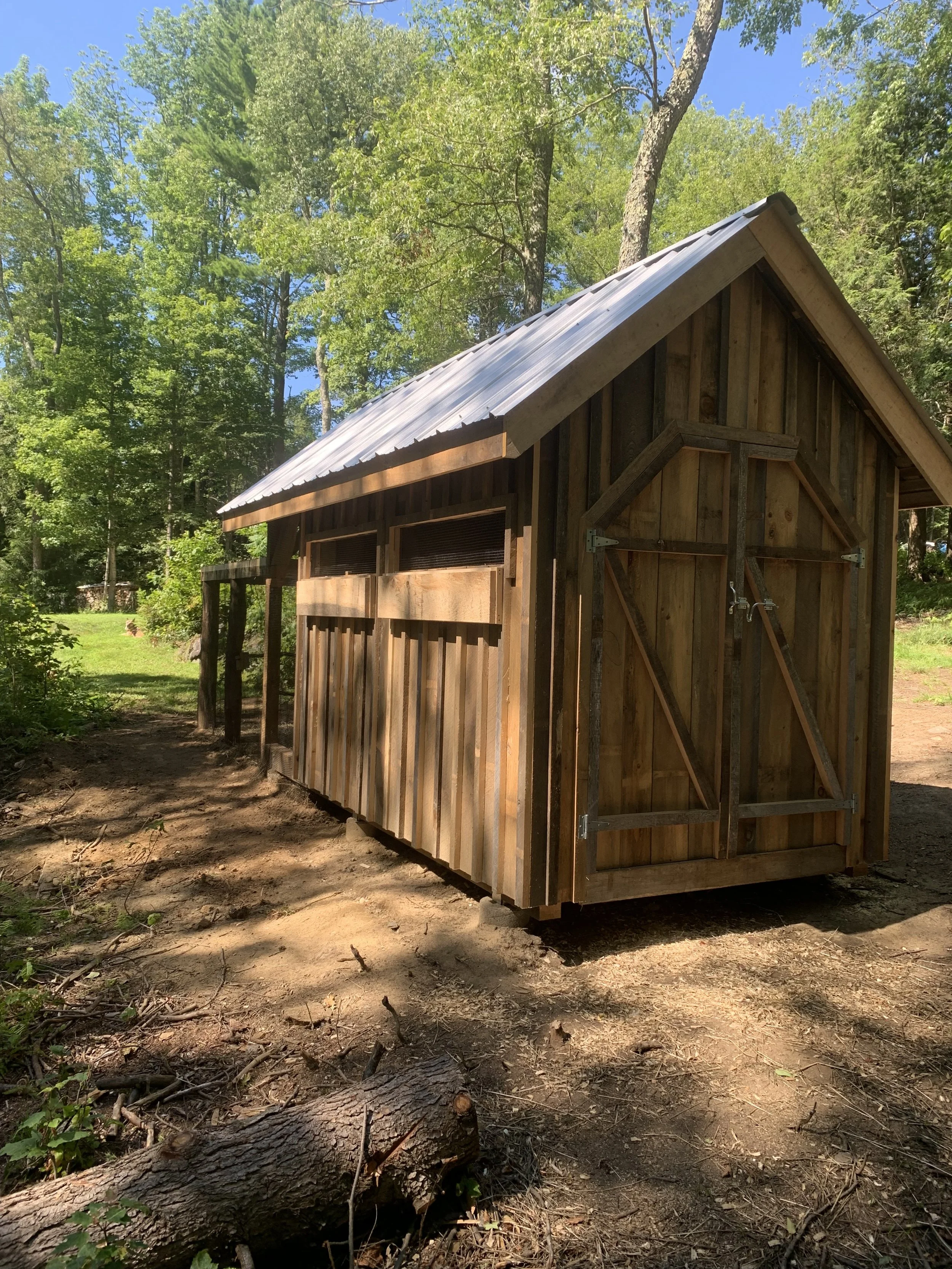 A small wooden shed with a metal roof, surrounded by trees and dirt ground.