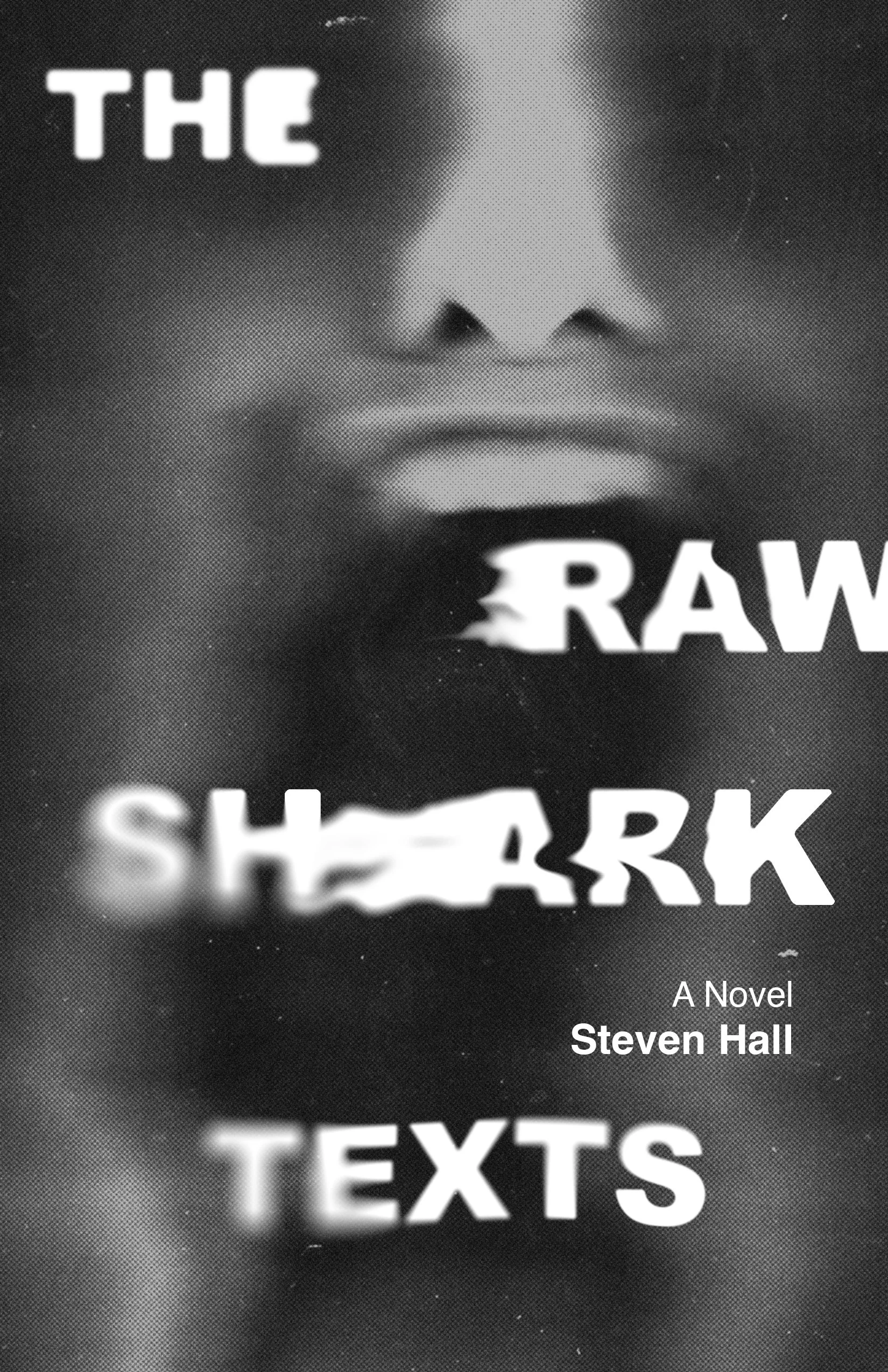 The Raw Shark Texts - Steven Hall