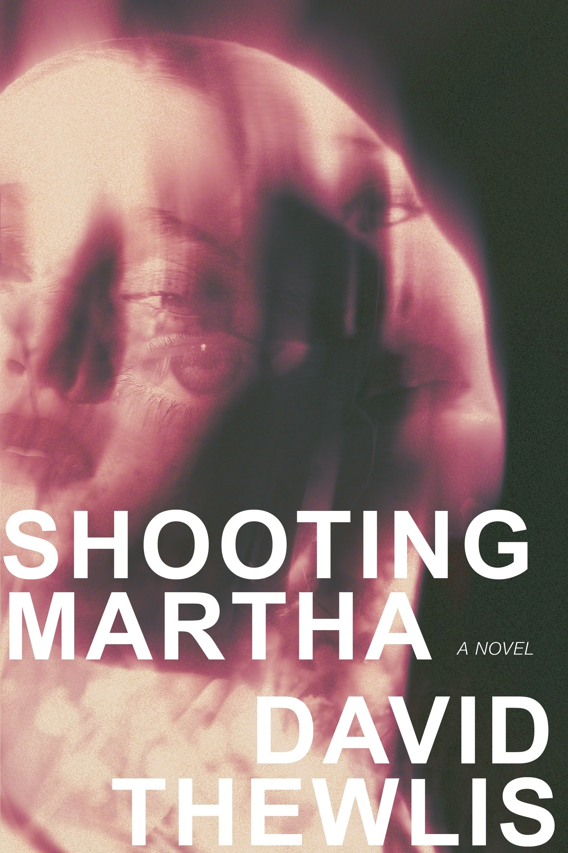 Shooting Martha - David Thewlis