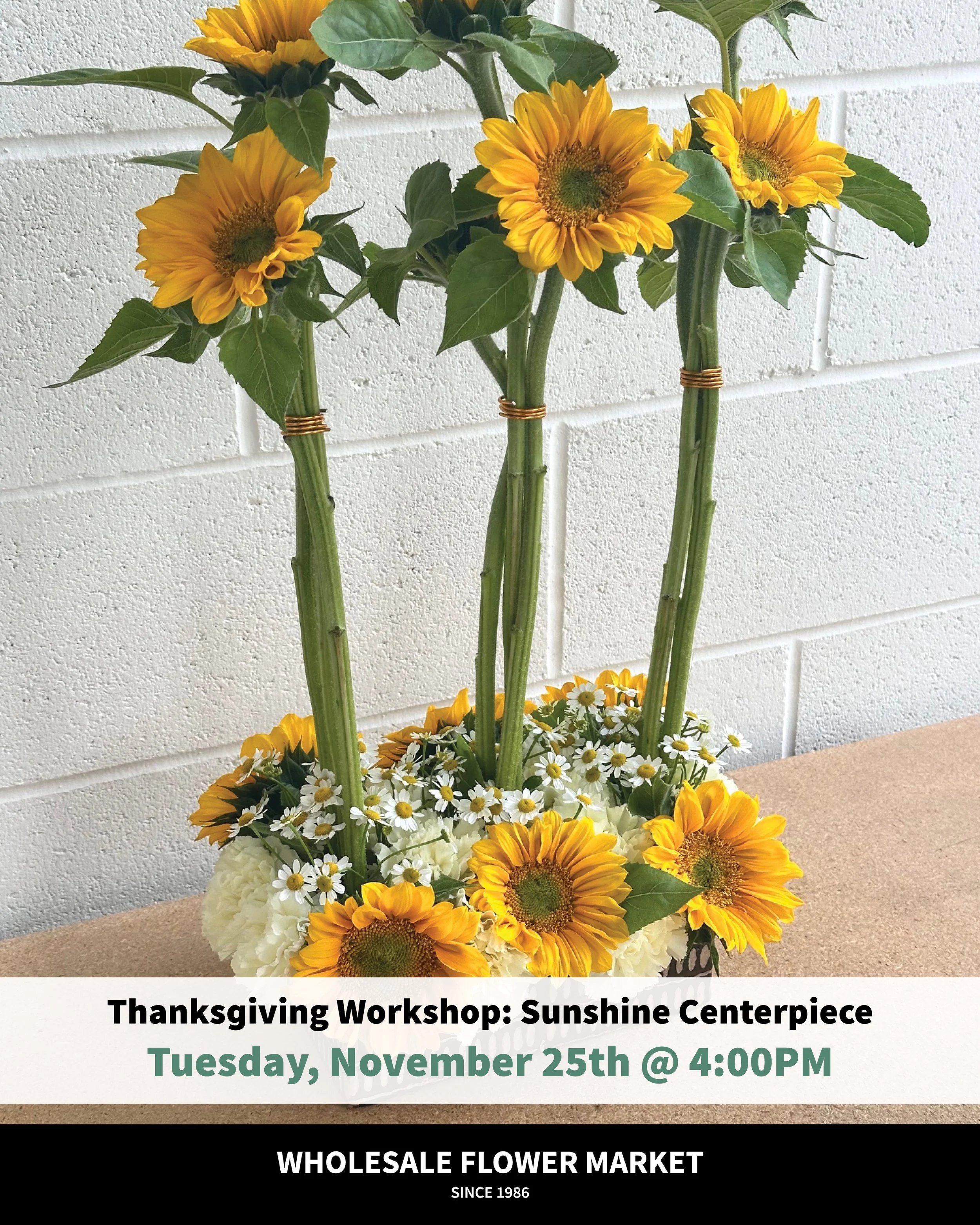 WFM_Workshops_IG_FAH_Nov2025_v2.jpg