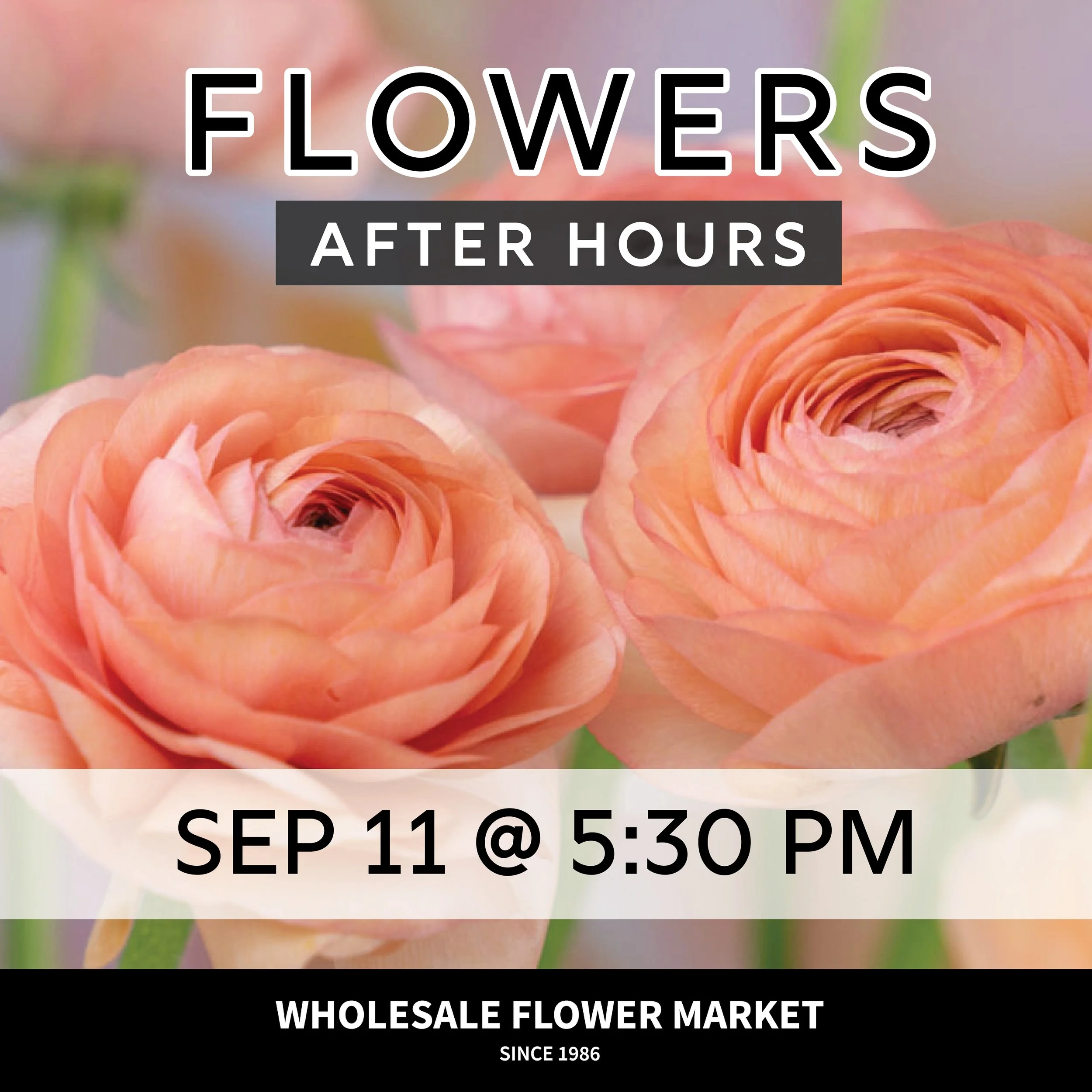 Flowers After Hours: September