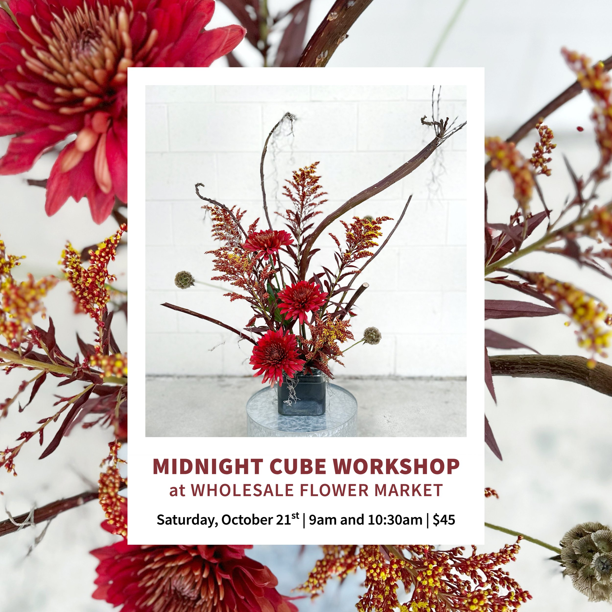 Midnight Cube Workshop