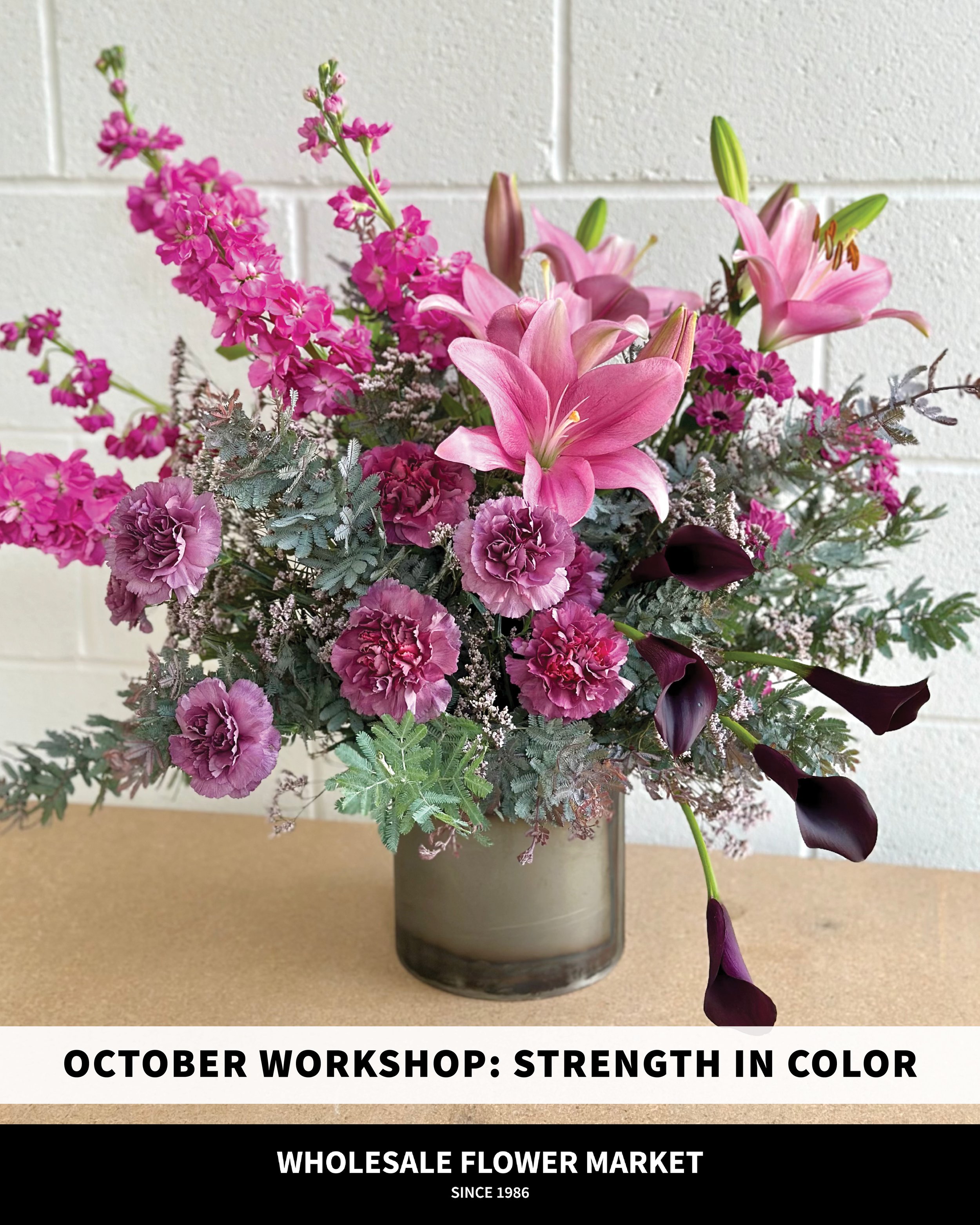 October Workshop: Strength in Color