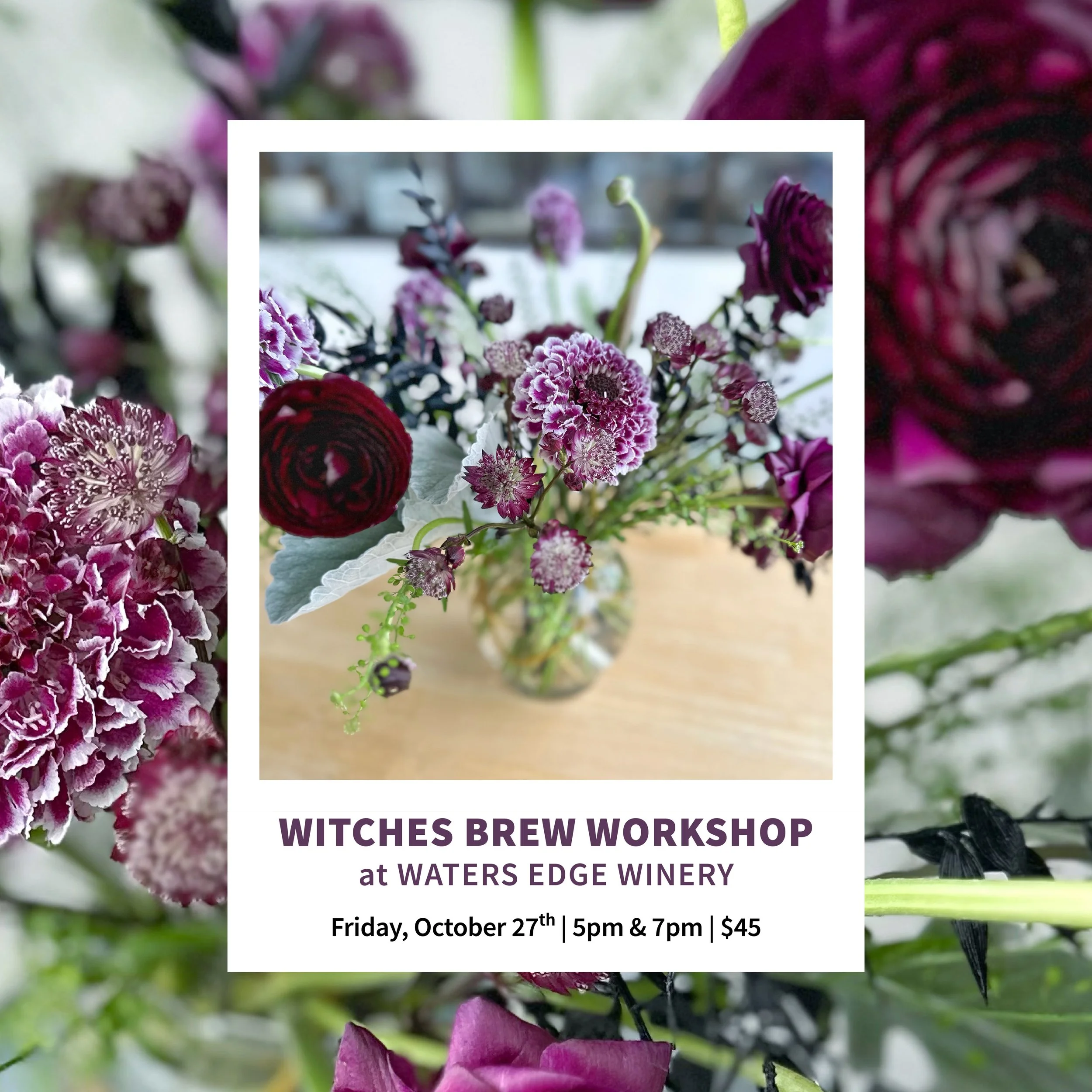 Witches Brew Workshop