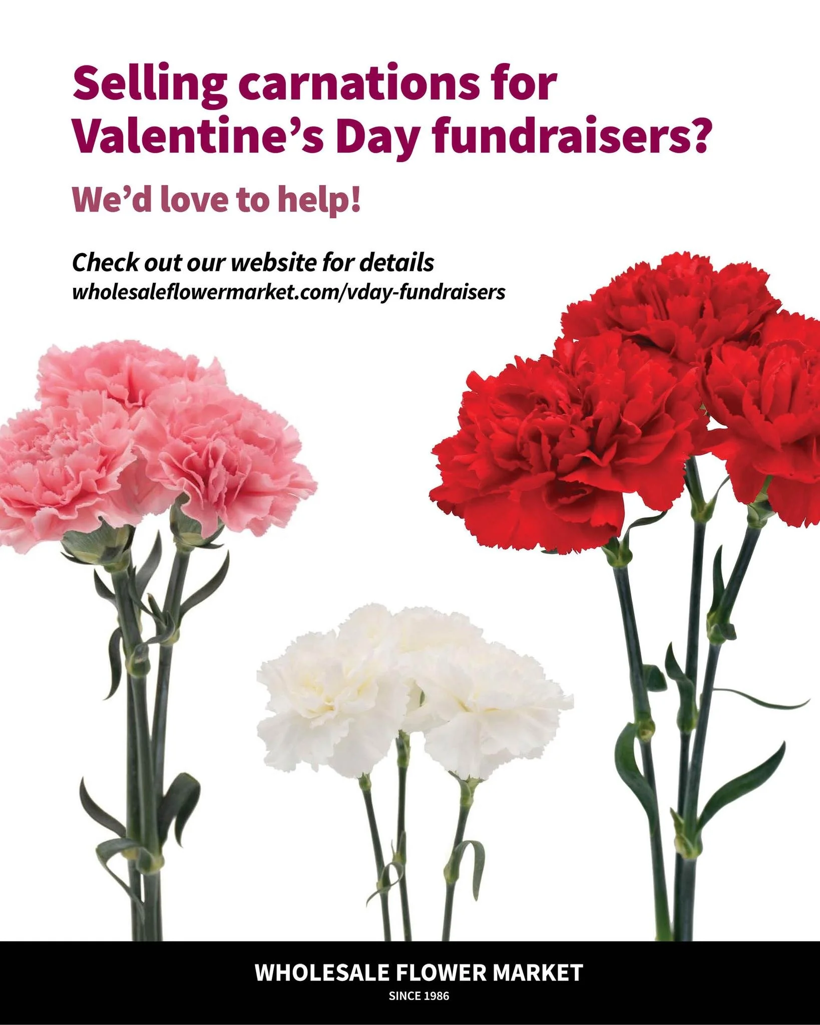 💘 Fundraising, but make it floral.

Bulk carnations = an easy Valentine&rsquo;s Day win. We&rsquo;ll supply the blooms&mdash;you bring the love (and the cause). Perfect for schools, teams, nonprofits, and community groups looking to raise funds.

👉