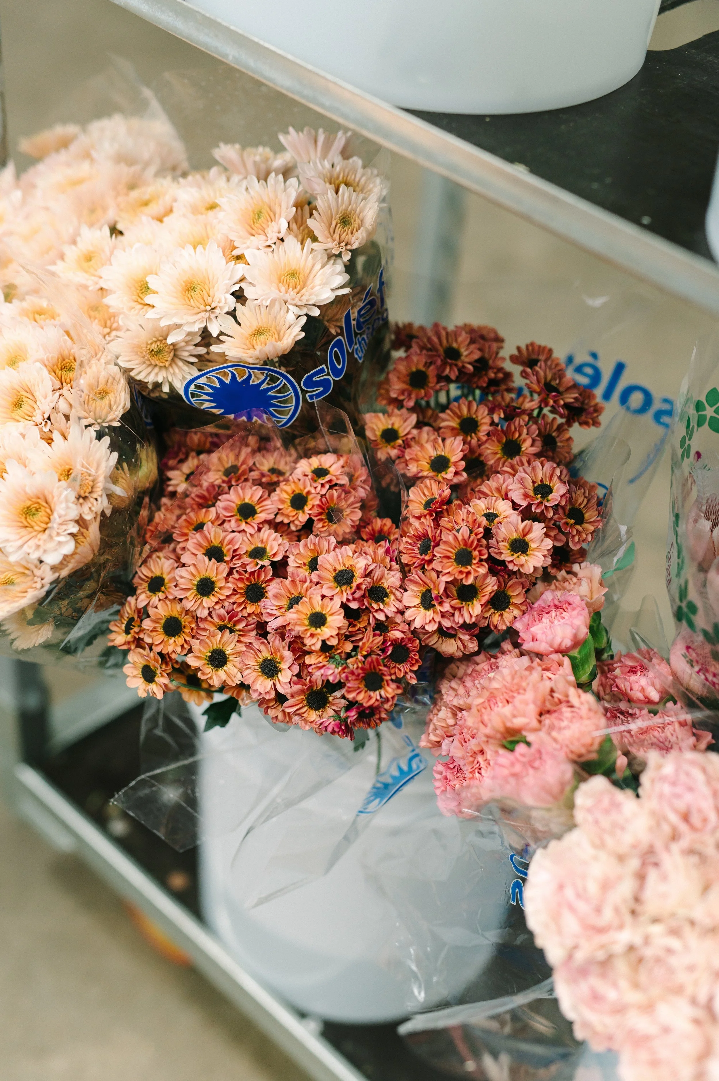 Wholesale Flower Market Flower Cut Flowers