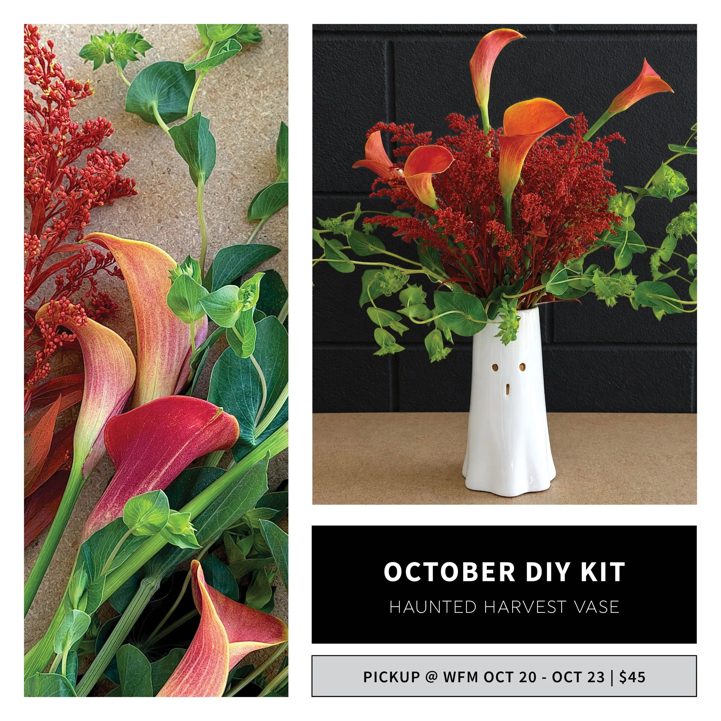 WFM_DIYKit_Oct2026_Web.jpg