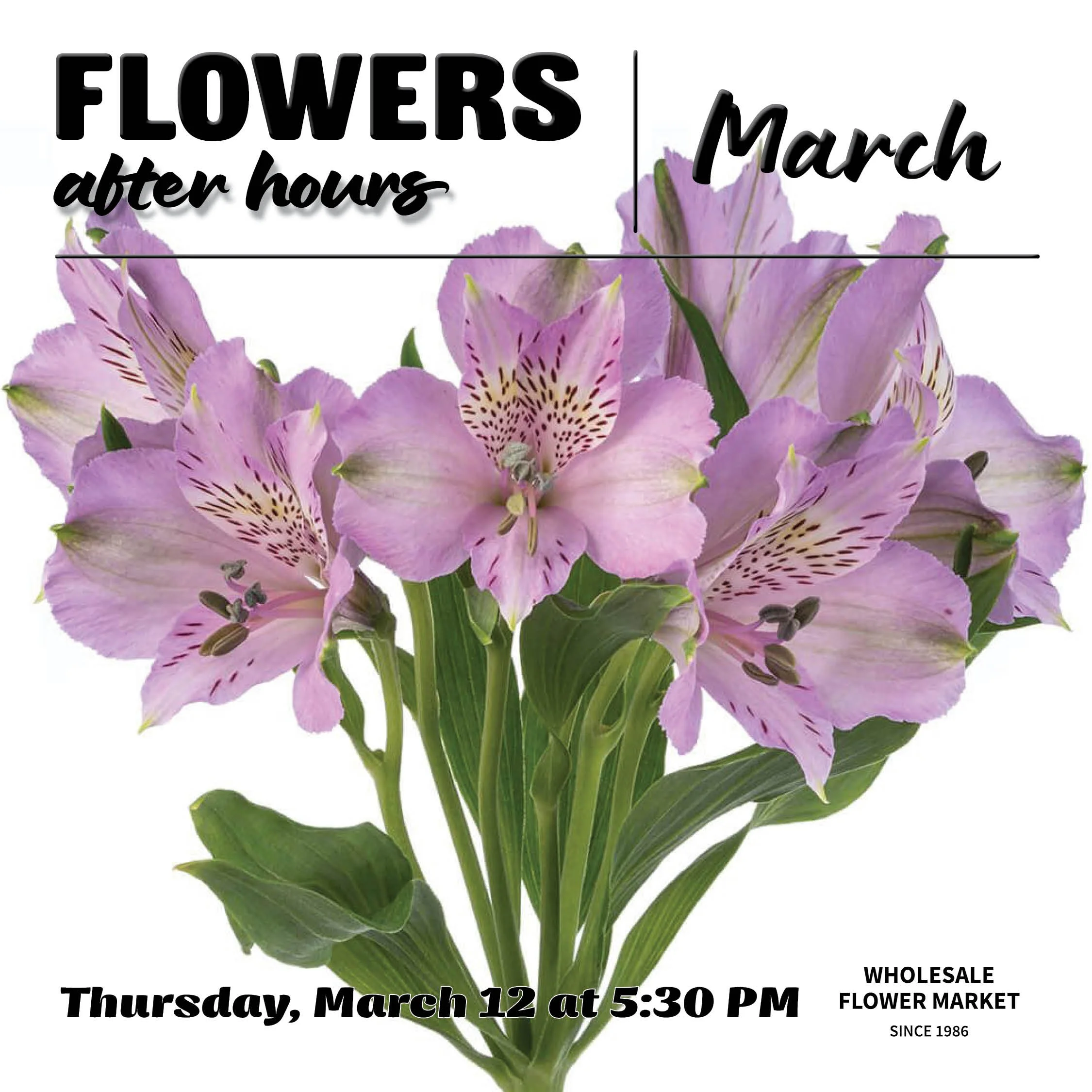 Flowers After Hours: March 2026