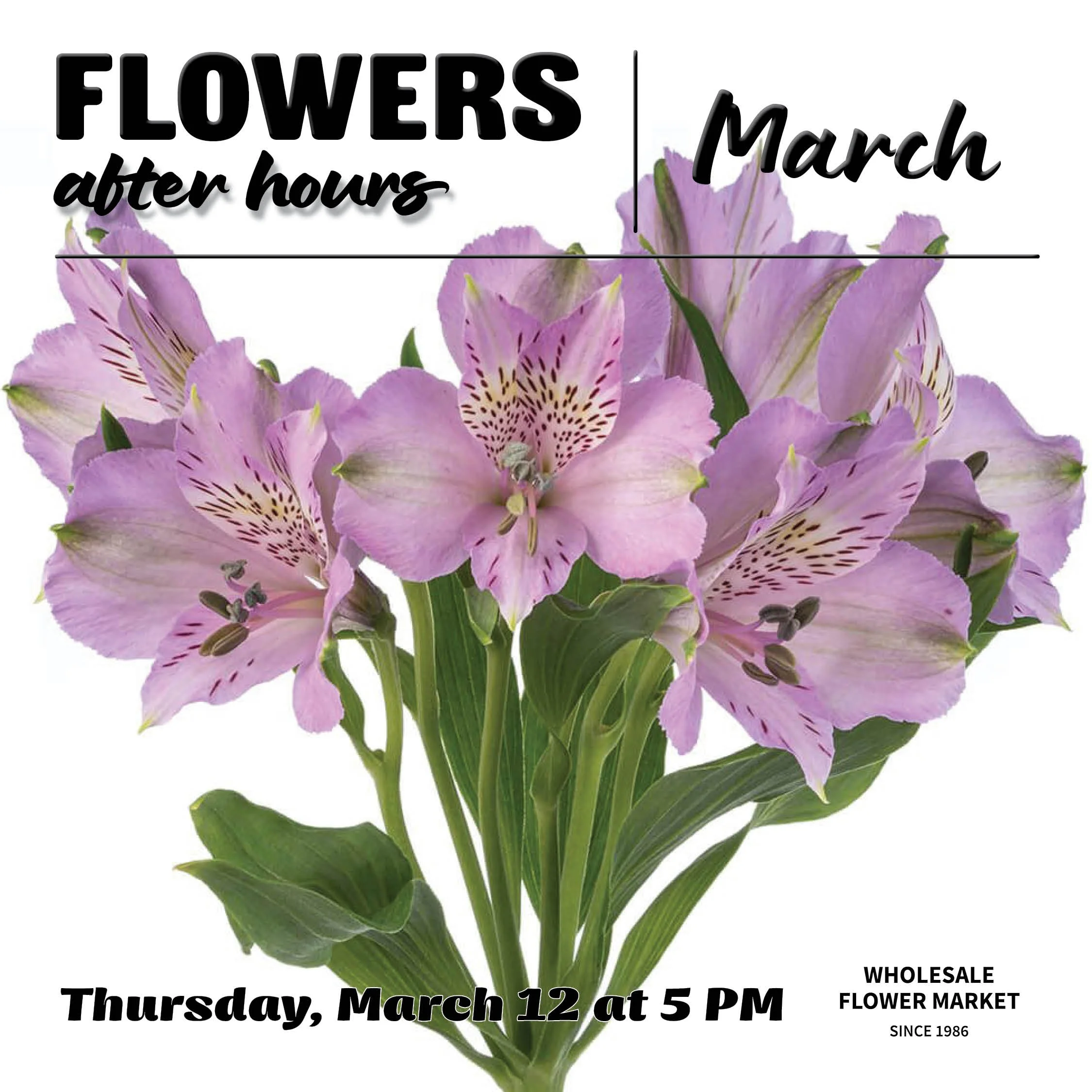 Flowers After Hours: March 2026