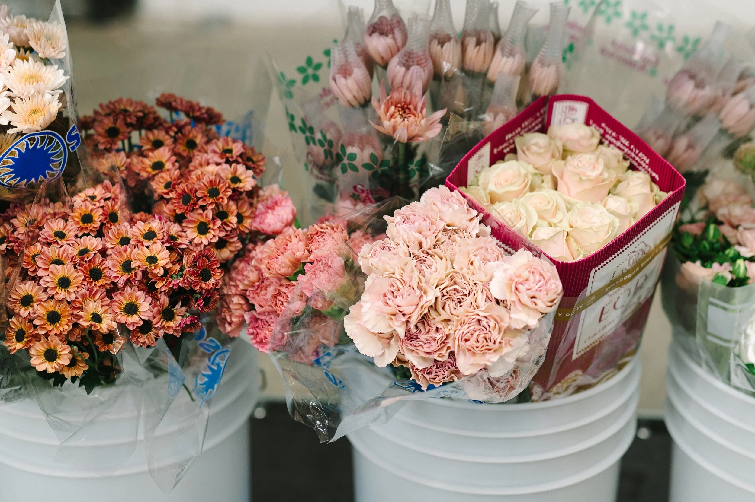 Wholesale Flower Market Bulk Cut Flowers