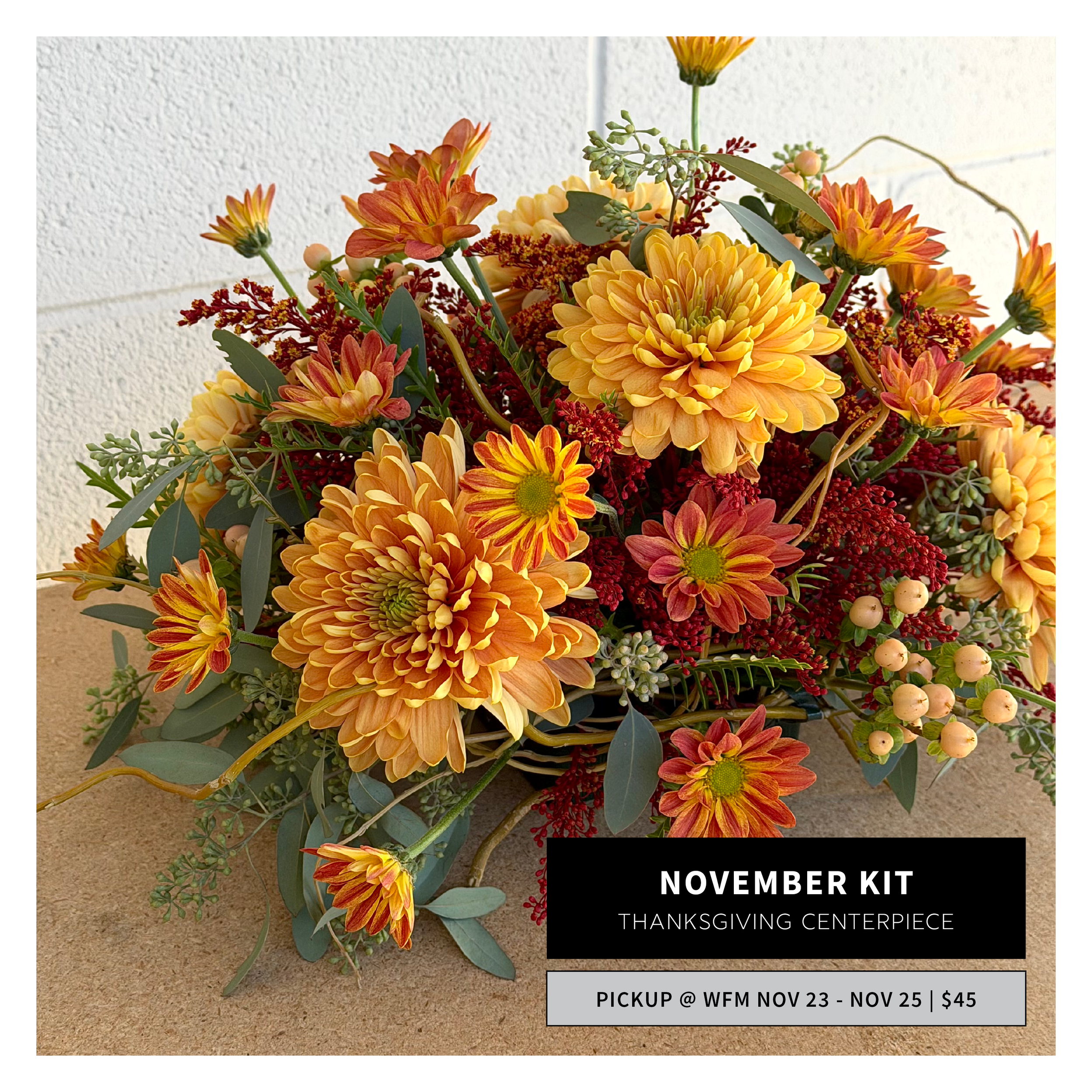 WFM_DIYKit_Nov2026_1500x1500.png