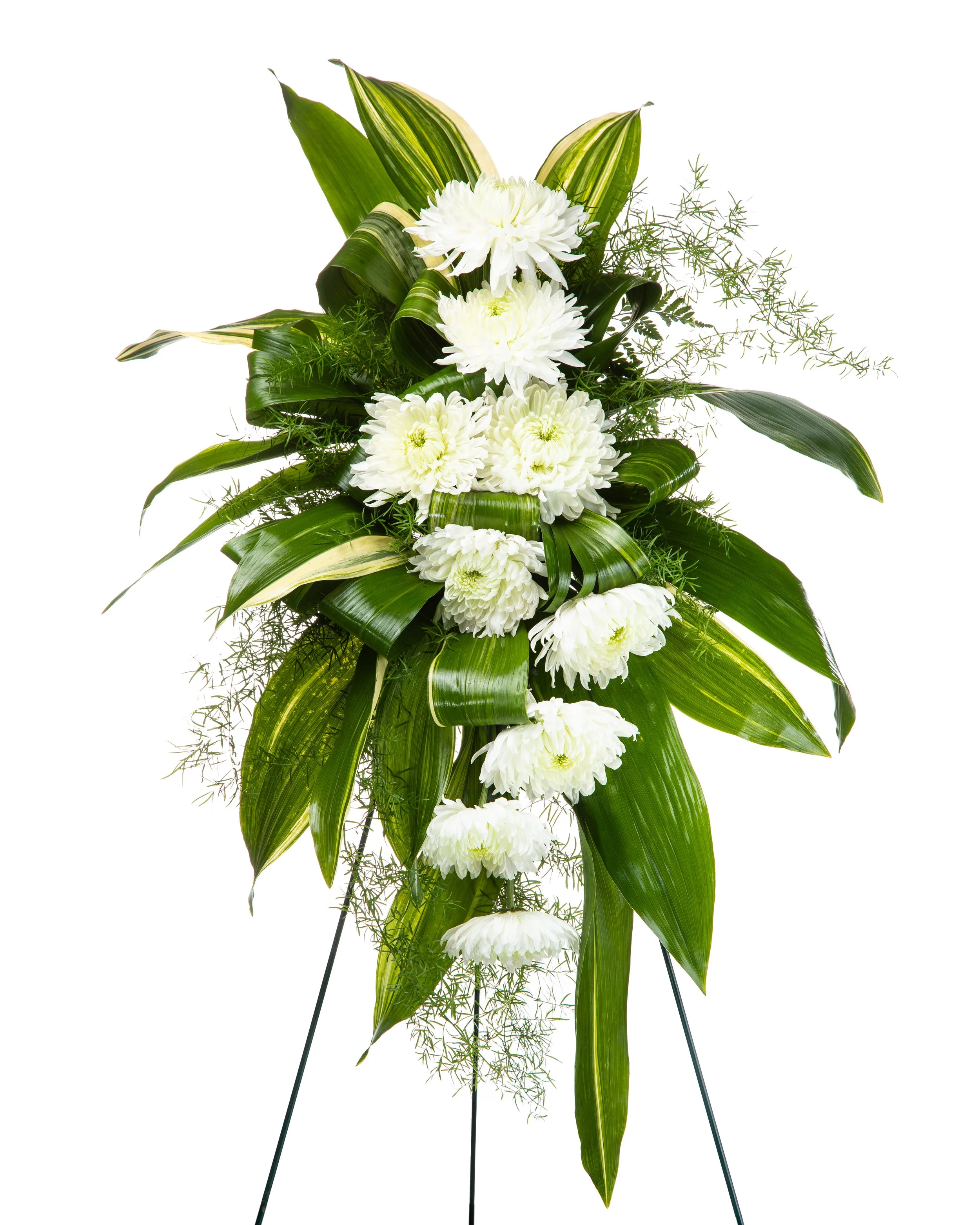 Modern Standing Spray