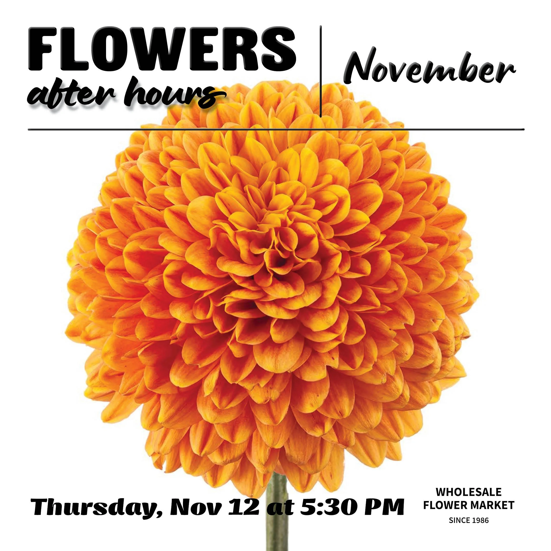 Flowers After Hours: November 2026