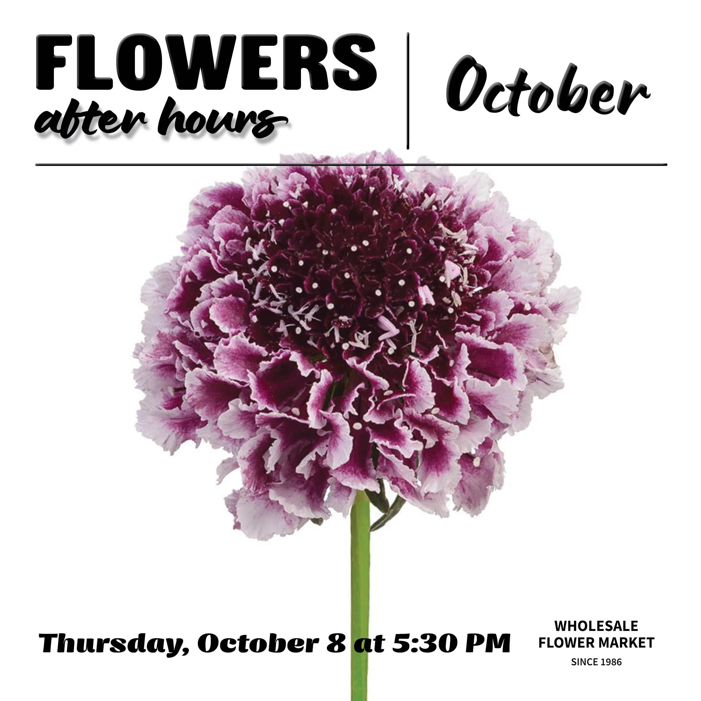 WFM_FAH_October2026.jpg