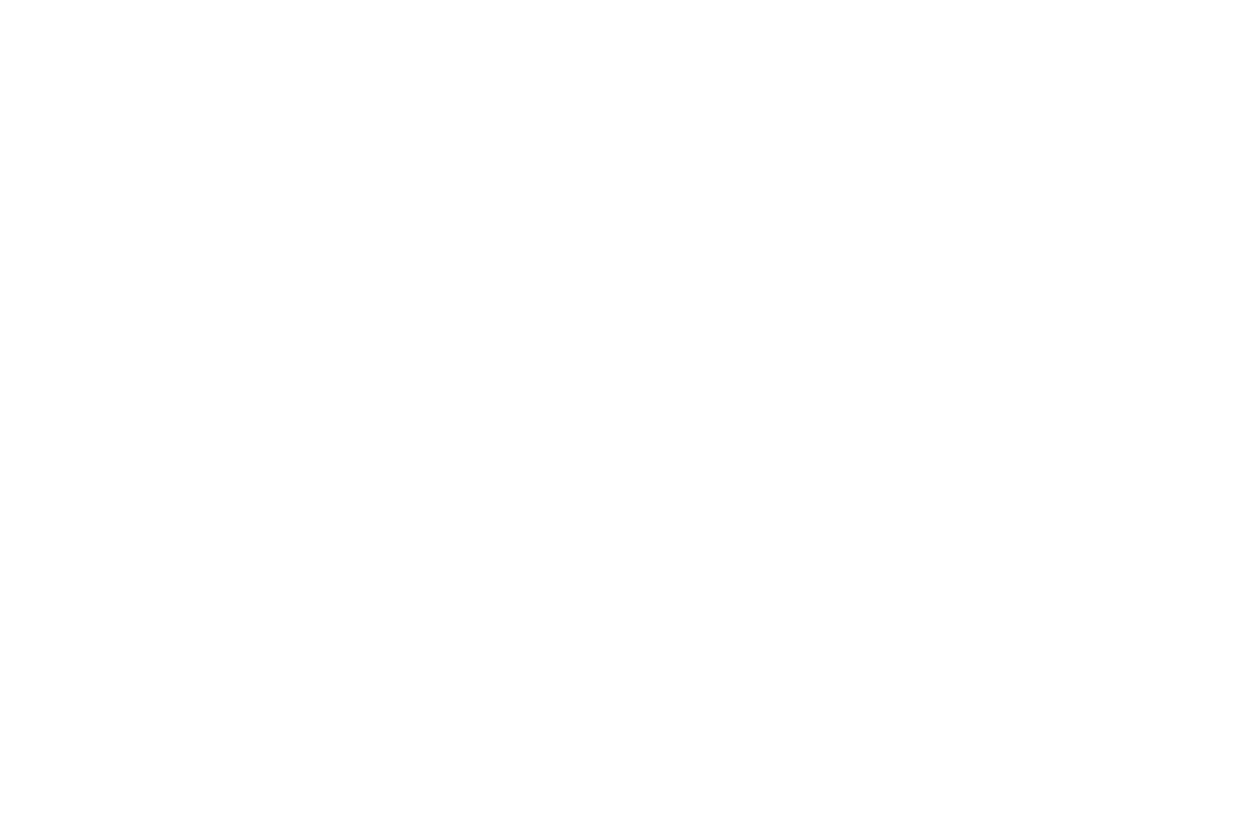 Rising Phoenix logo