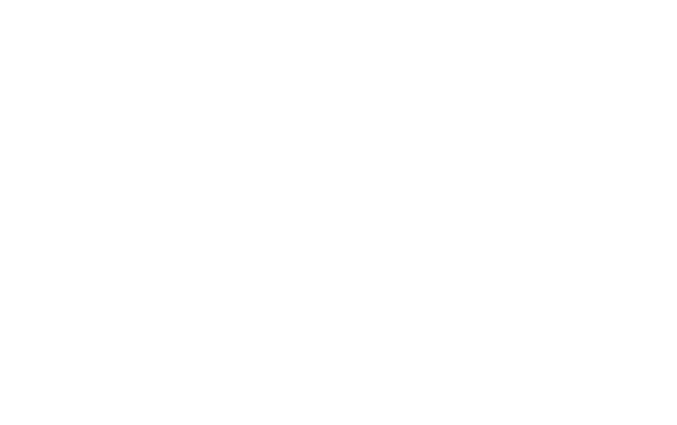 Adidas logo