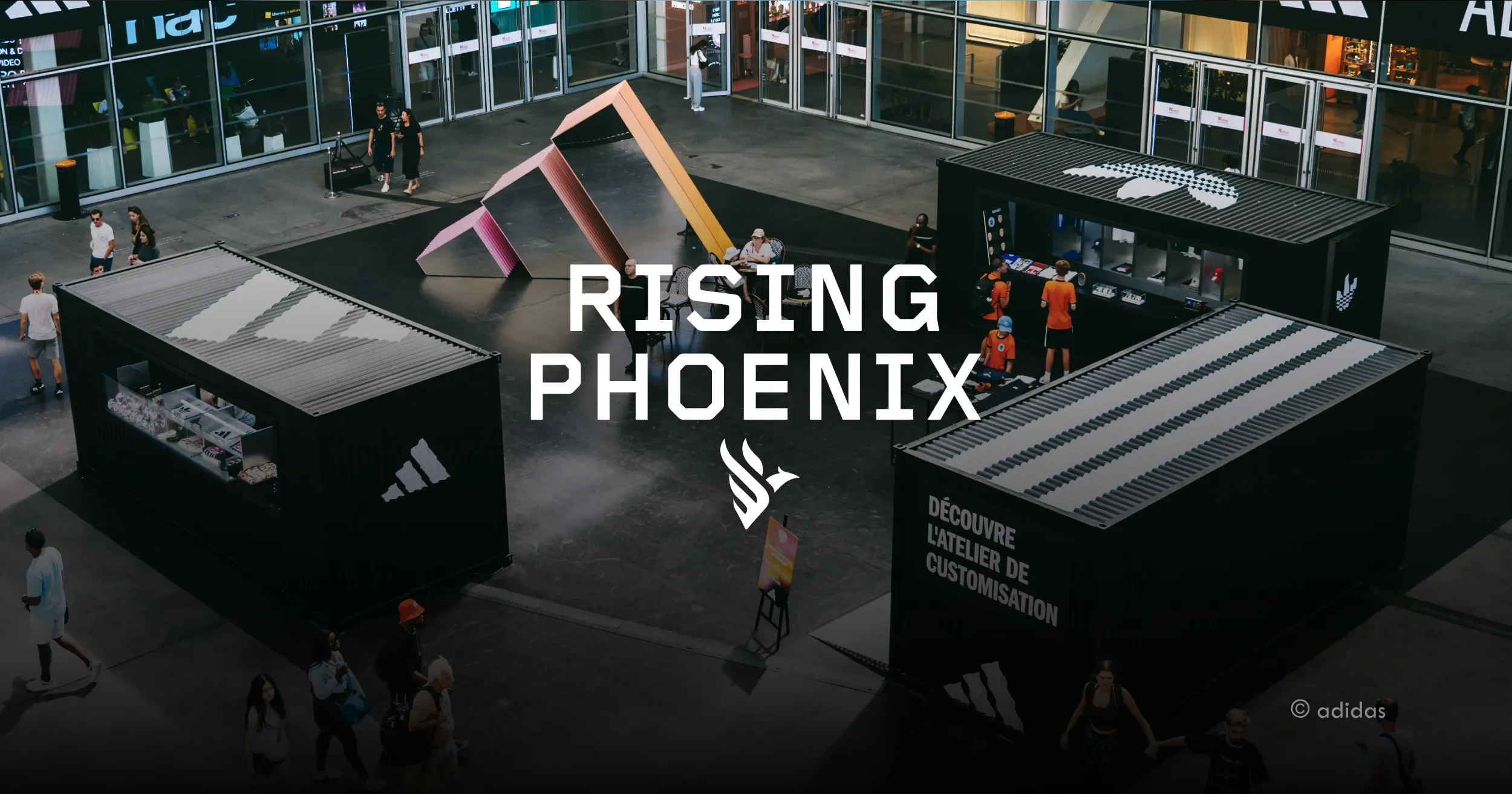 Rising Phoenix