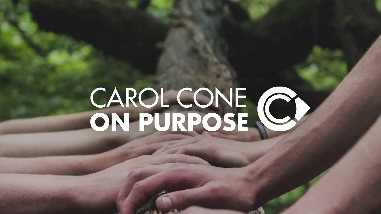 The Purpose Collaborative