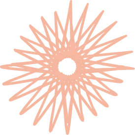 A stylized, pink, spiky circular shape resembling a decorative geometric pattern.