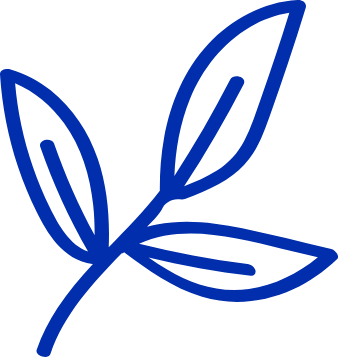 A simple blue outline drawing of a sprig with three leaves.