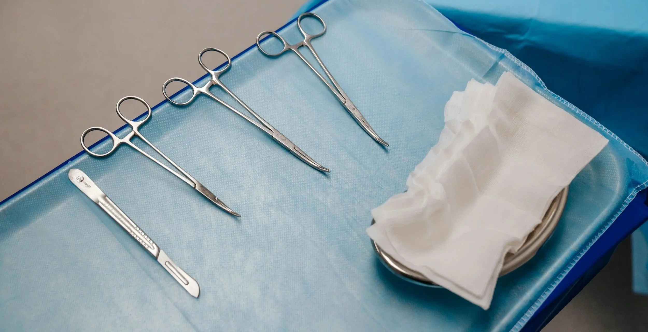 Veterinary orthopedic surgical instruments.