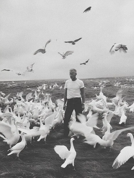 A man standing on a grassy field surrounded by numerous seagulls, with some flying overhead in a cloudy sky. Ai Generated, Creative direction with  AI 
