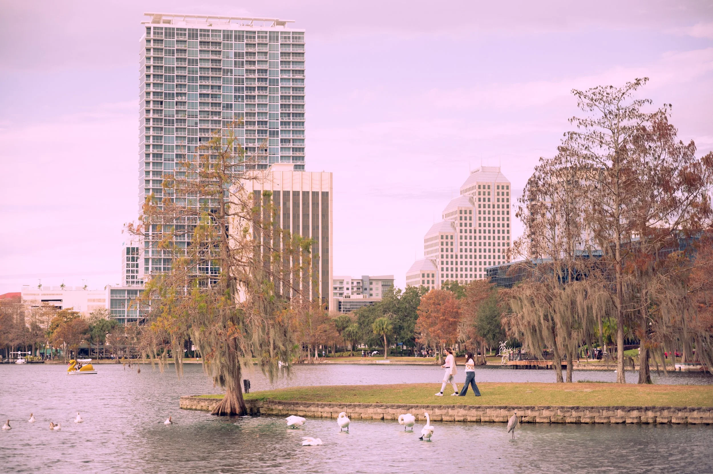 lakeeola-3.jpg