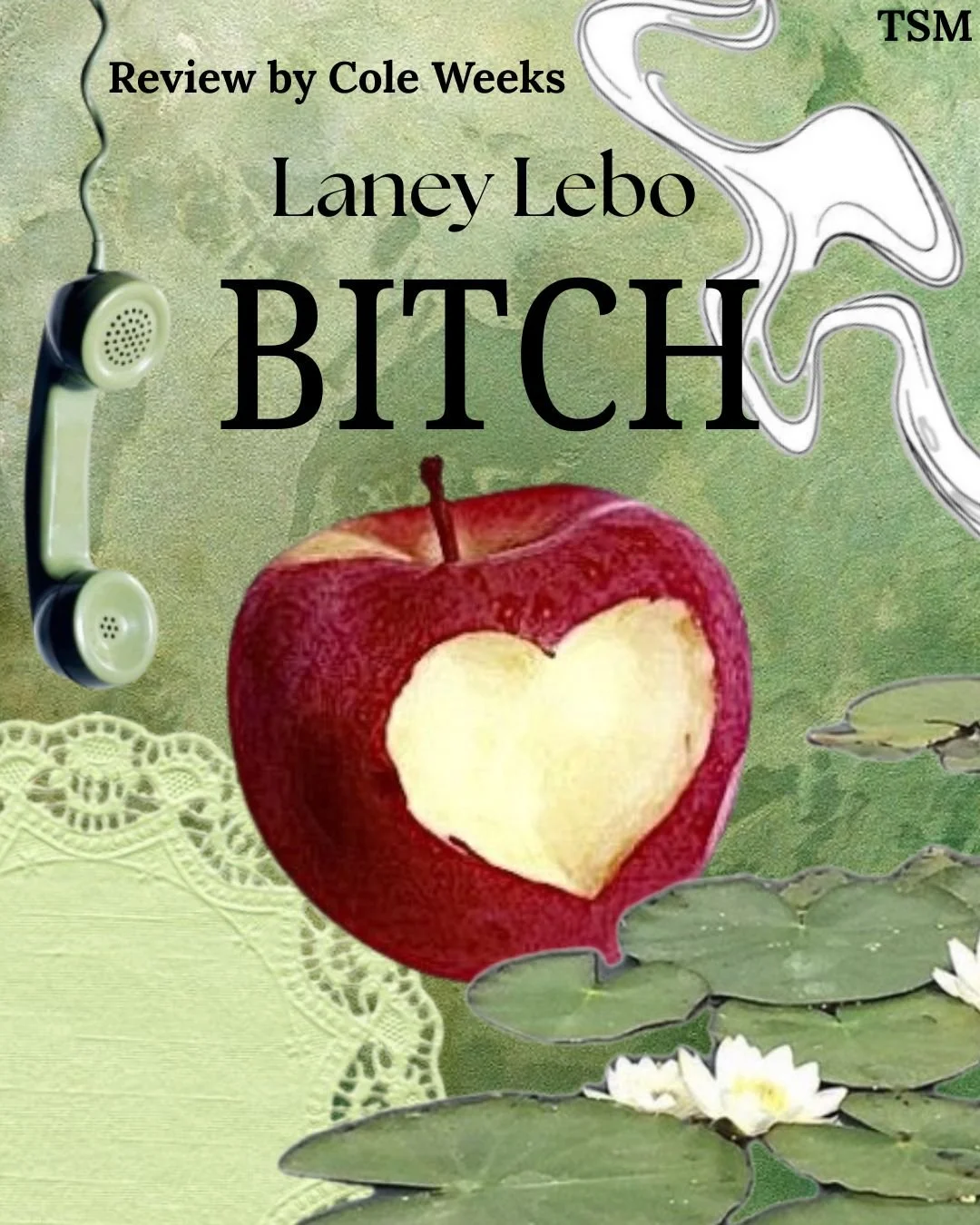 Song Review: Bitch by Laney Lebo