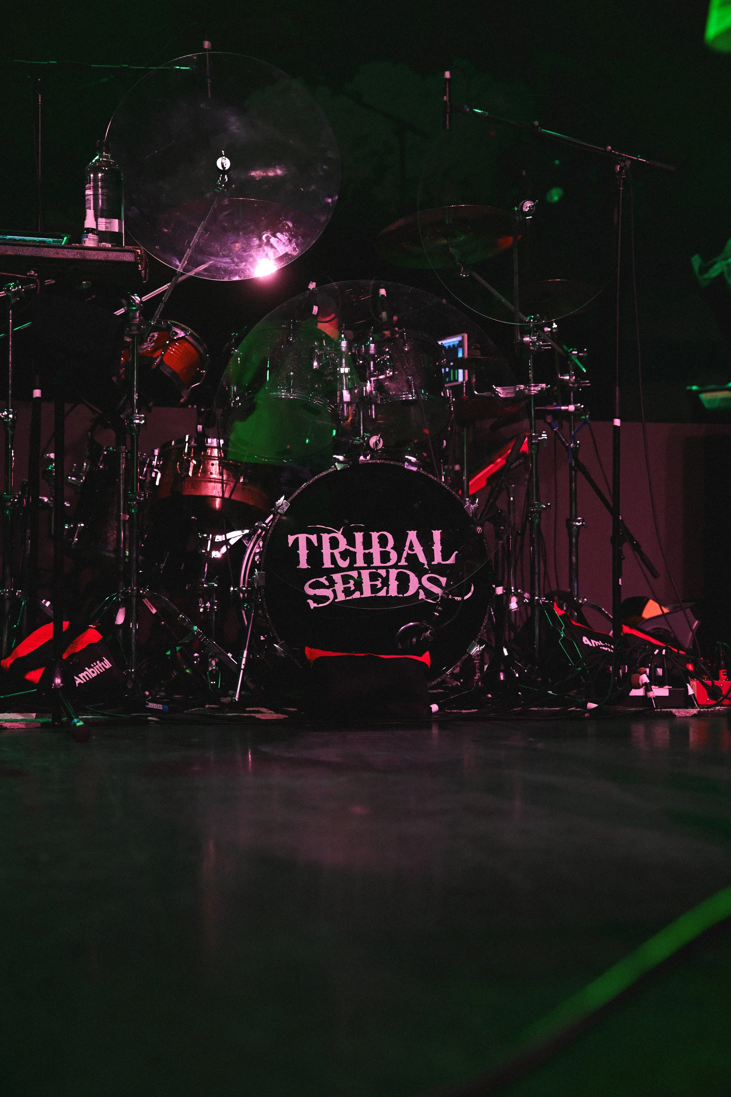 Tribal Seeds copy 2.JPG