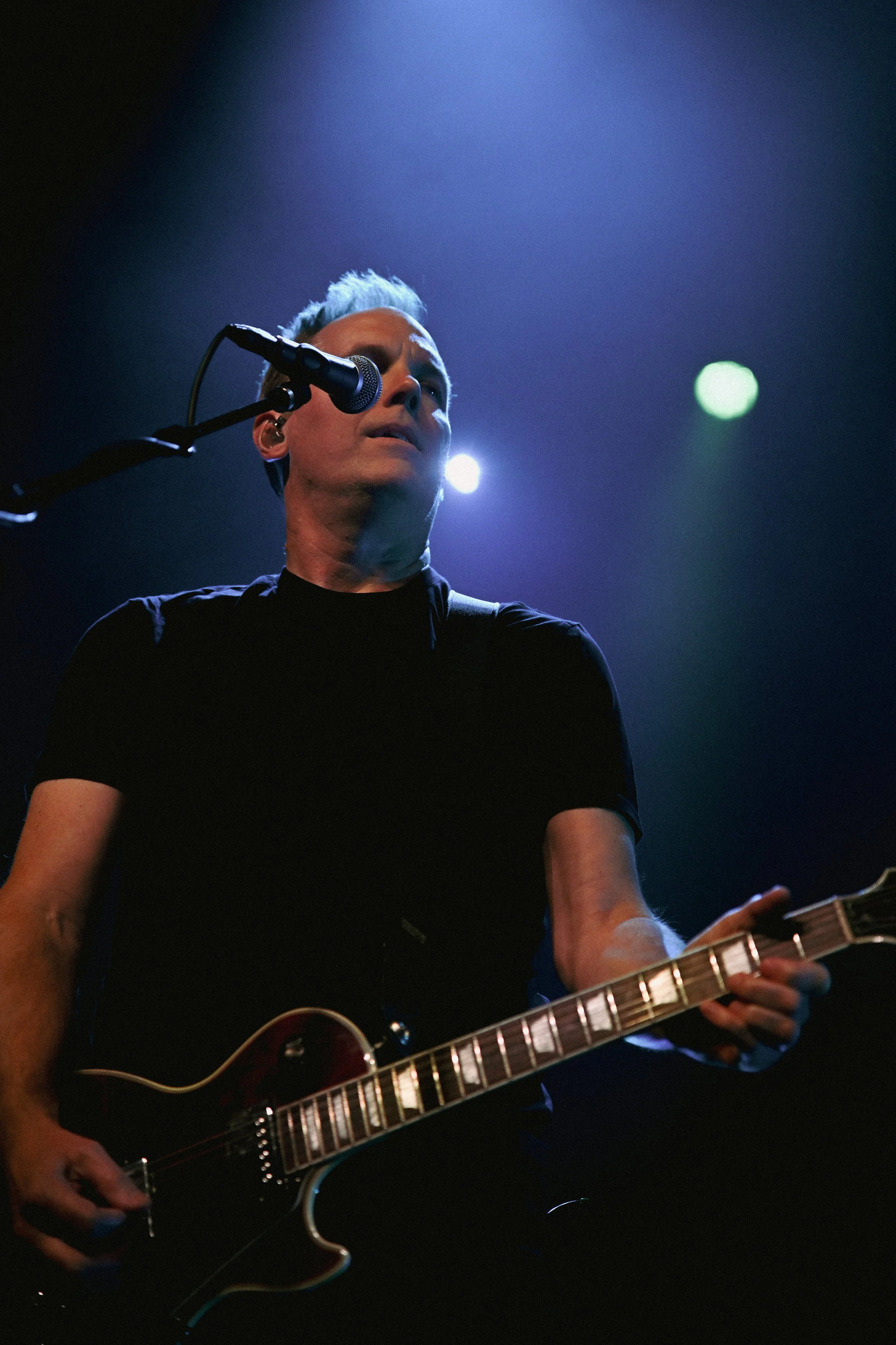 Dogstar 1.JPG