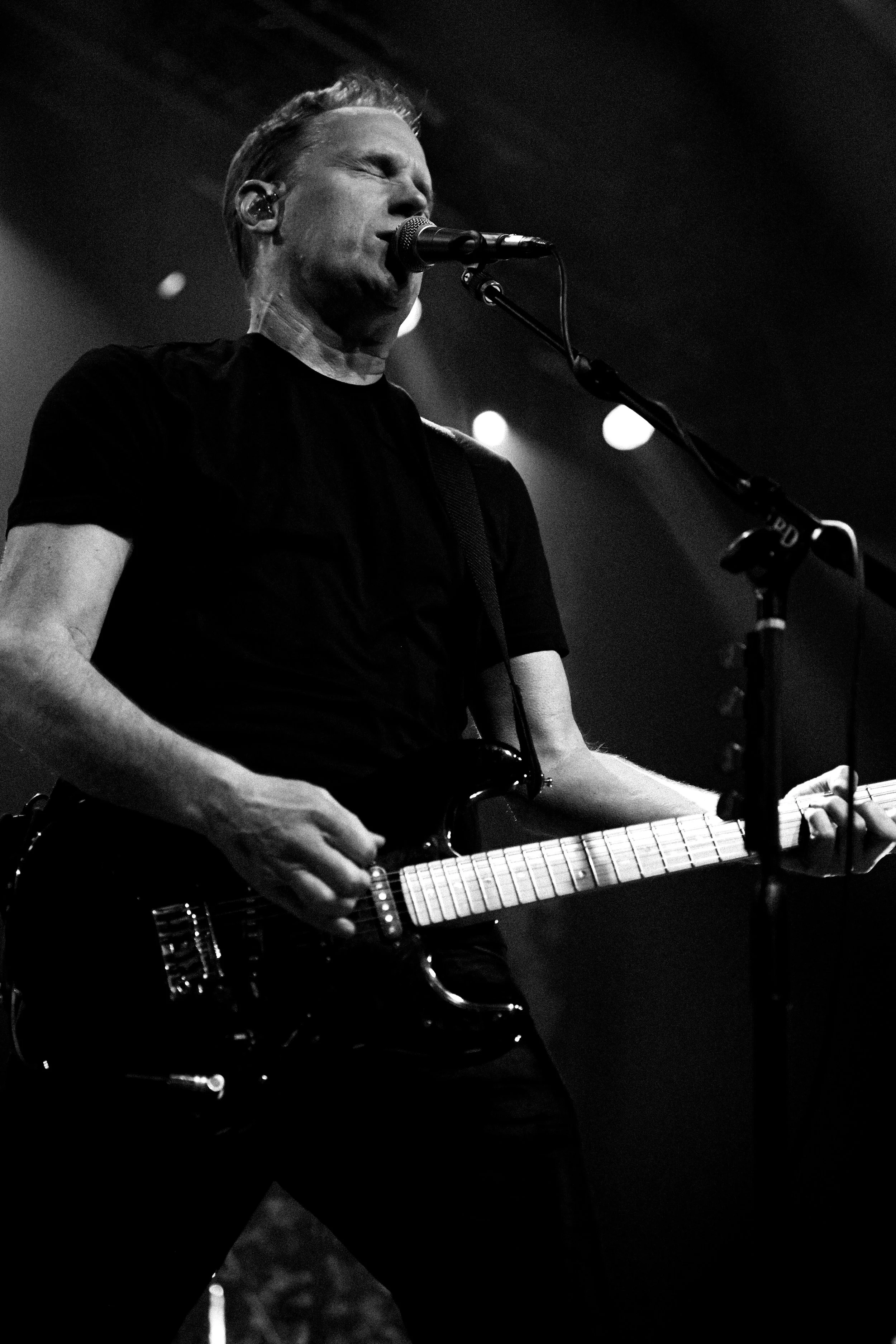 Dogstar 20.JPG