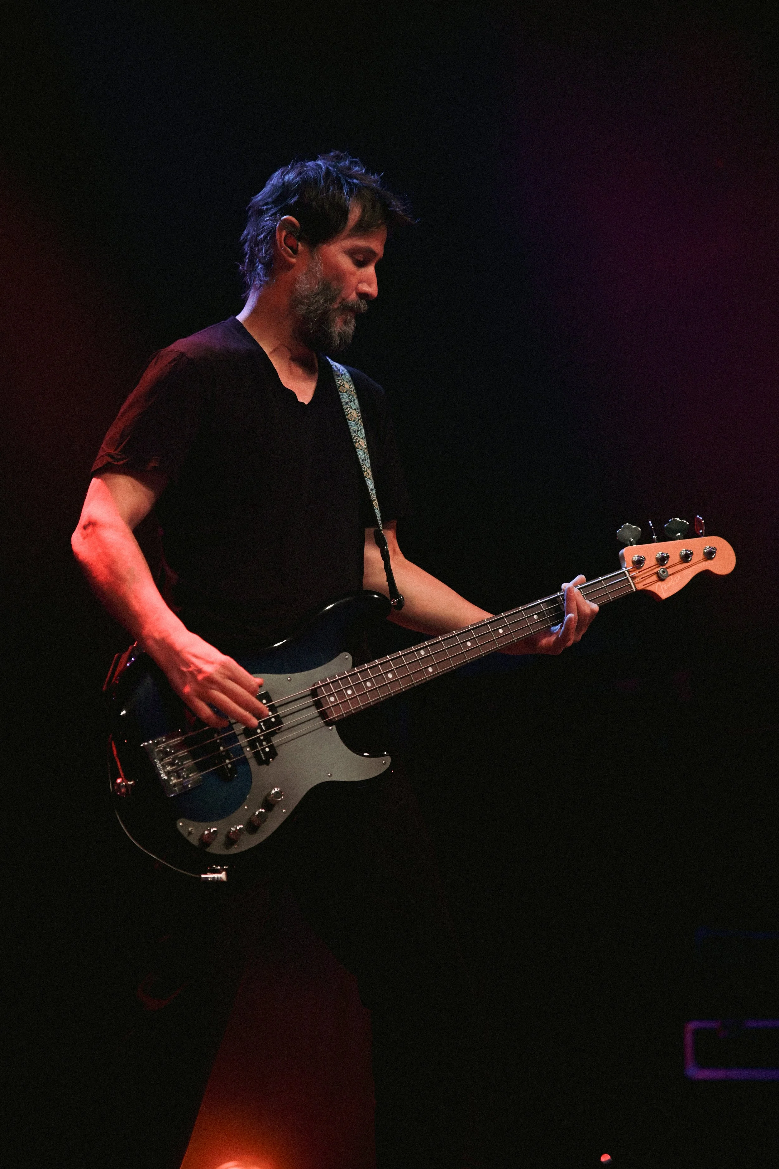 Dogstar 23.JPG