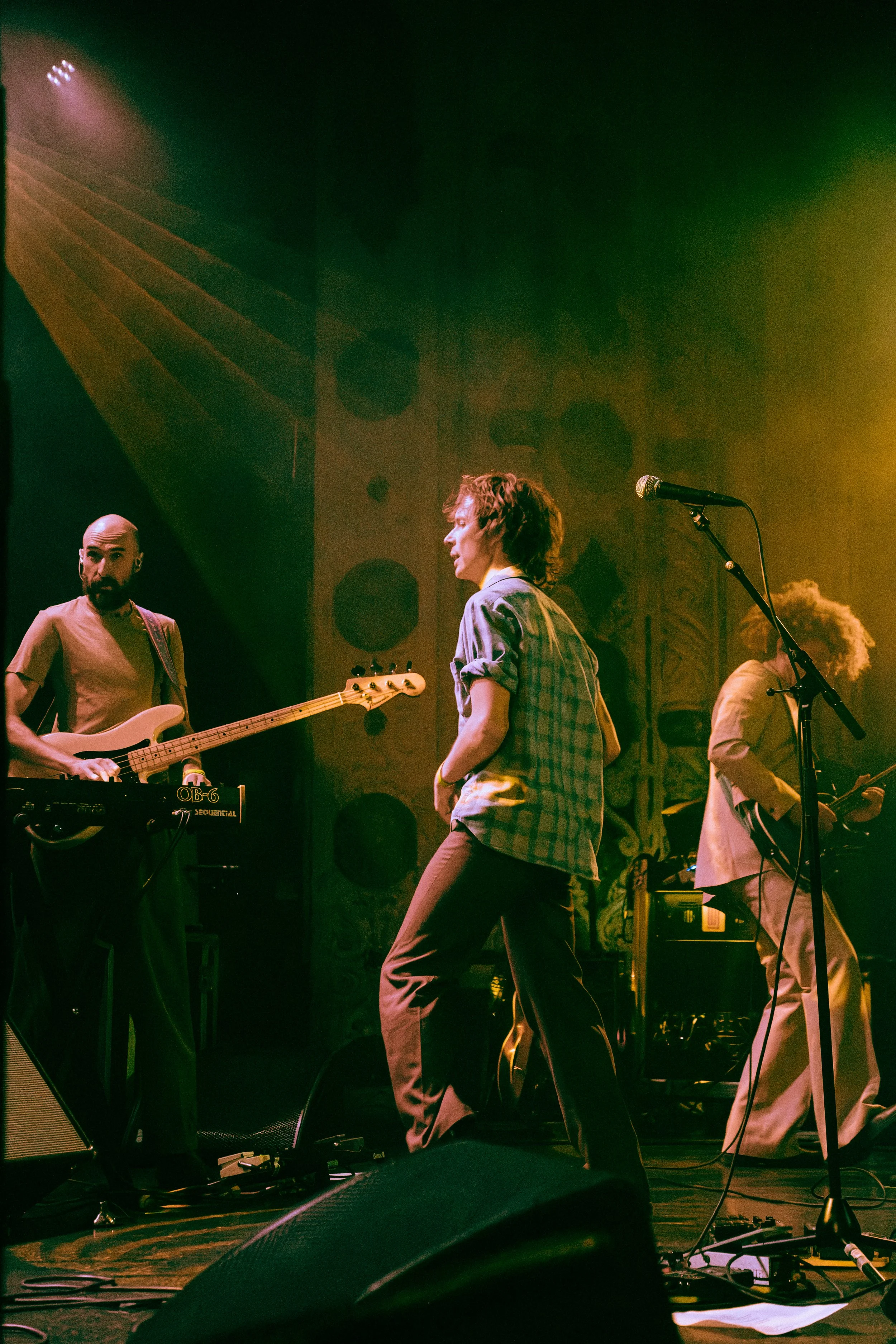 DSCF8600.jpg