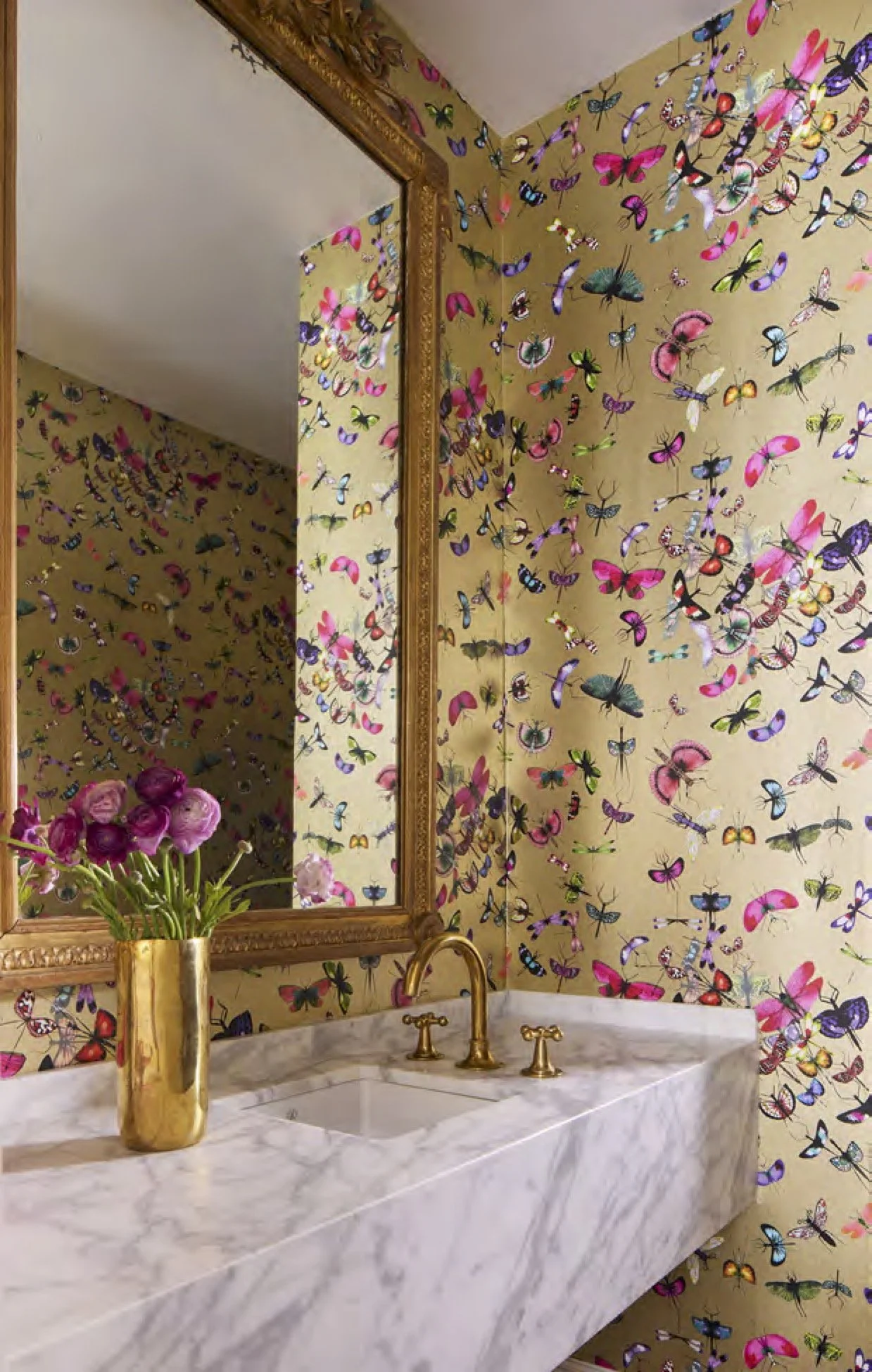 Douglass Project Images1.jpg