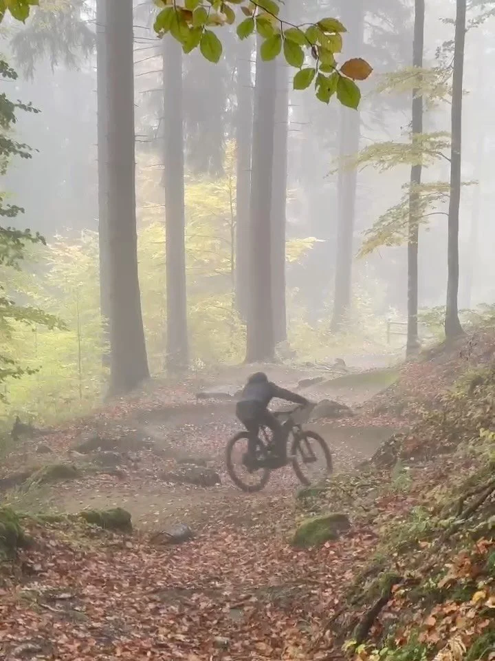 Erst strampeln, dann schlemmen! 

Biken in Engelberg, fein essen, Ap&eacute;ro geniessen und zwischendurch ordentlich plaudern. Ein TEAMevent ganz nach unserem Geschmack! 🤟🏼