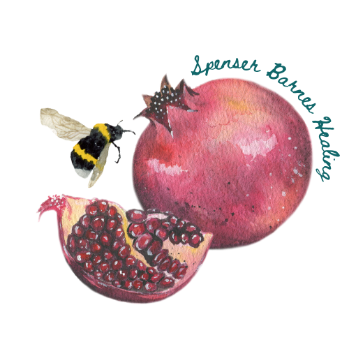 Spenser Barnes | Intuitive Channeling and Somatic Healing